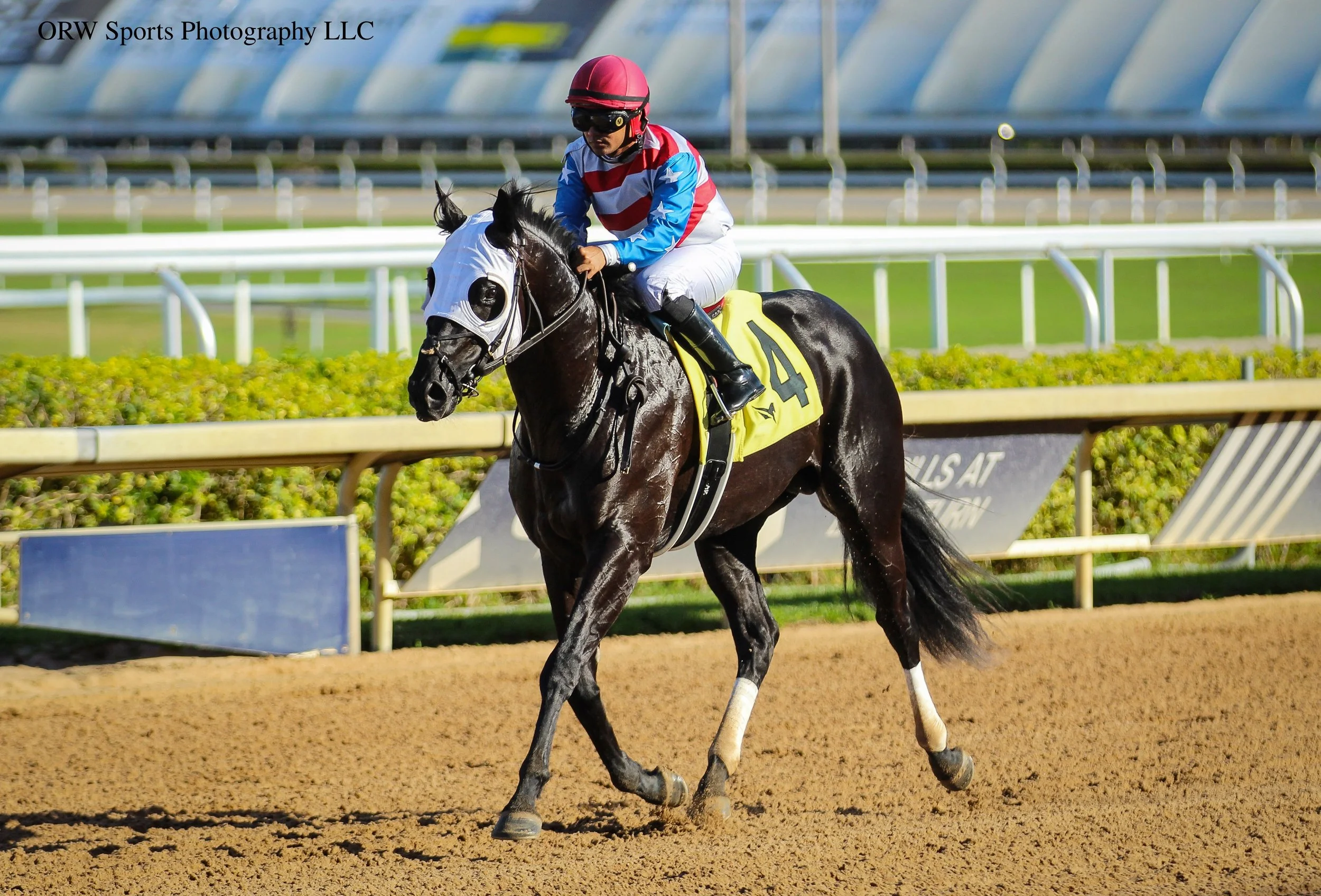 Big Beautiful Bill and Miguel Vasquez 