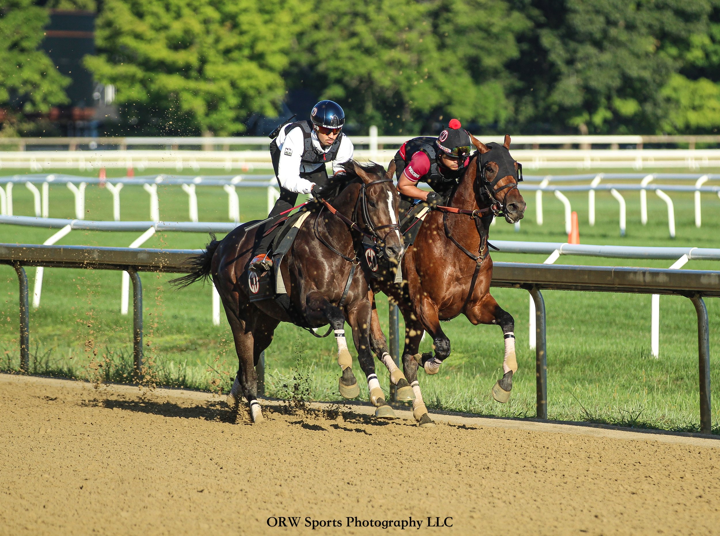 DeVaux Breezers (1) .jpg