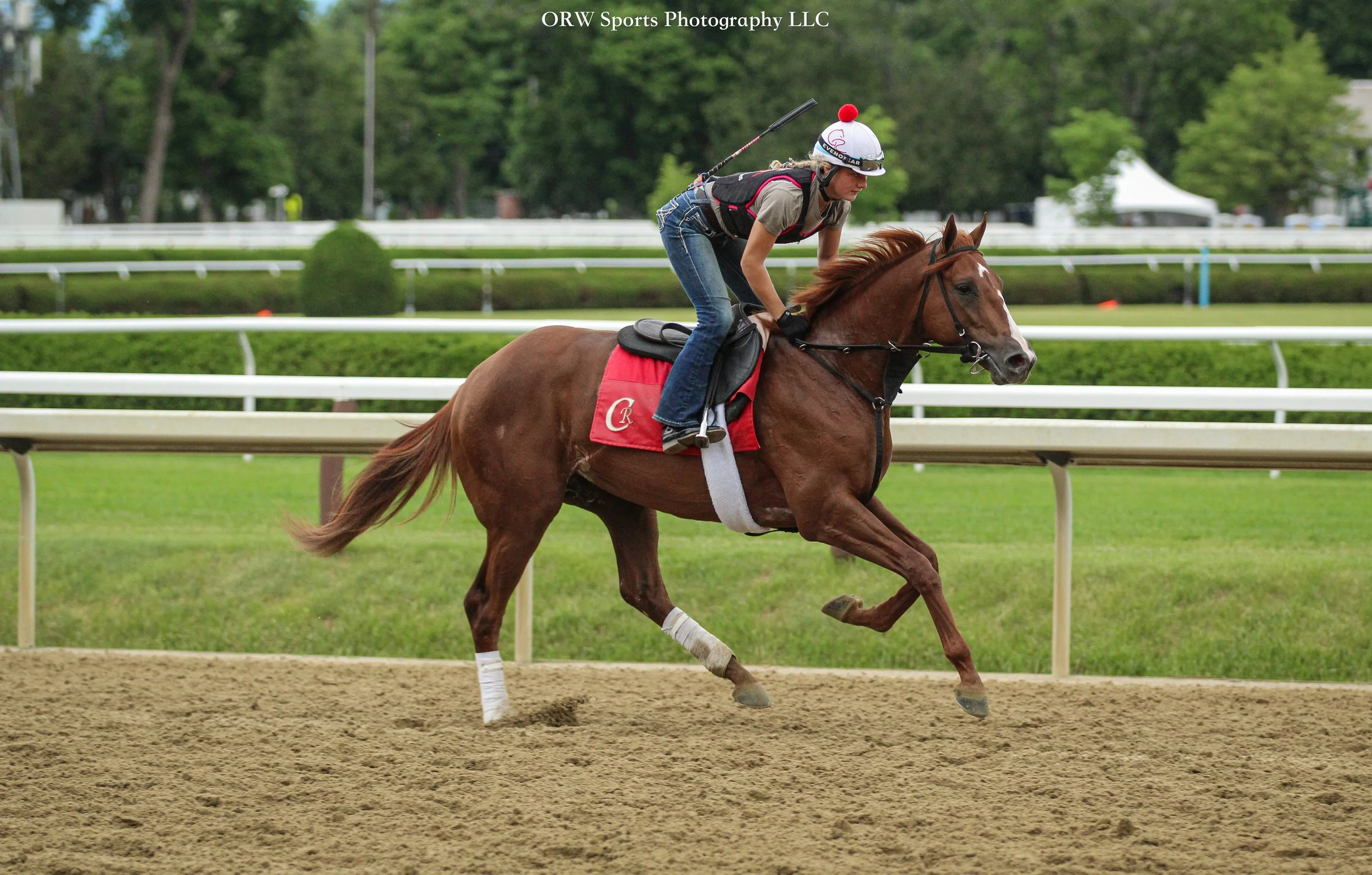 Mark Casse Trainee 