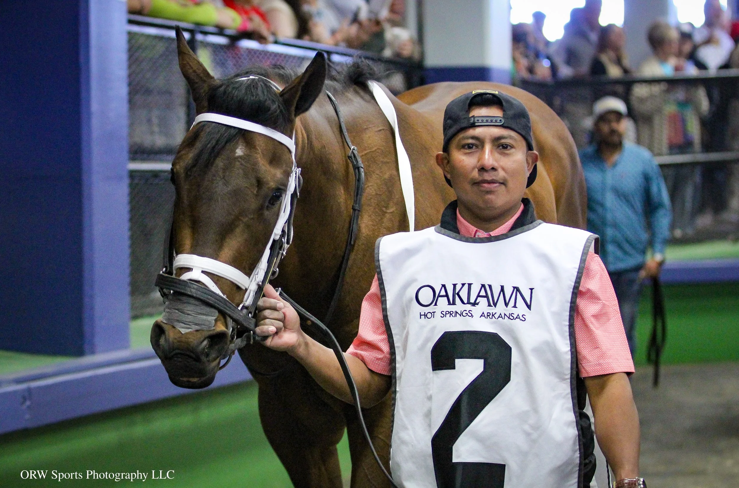 It's game time. Two Seven O is in the paddock for his big race. 