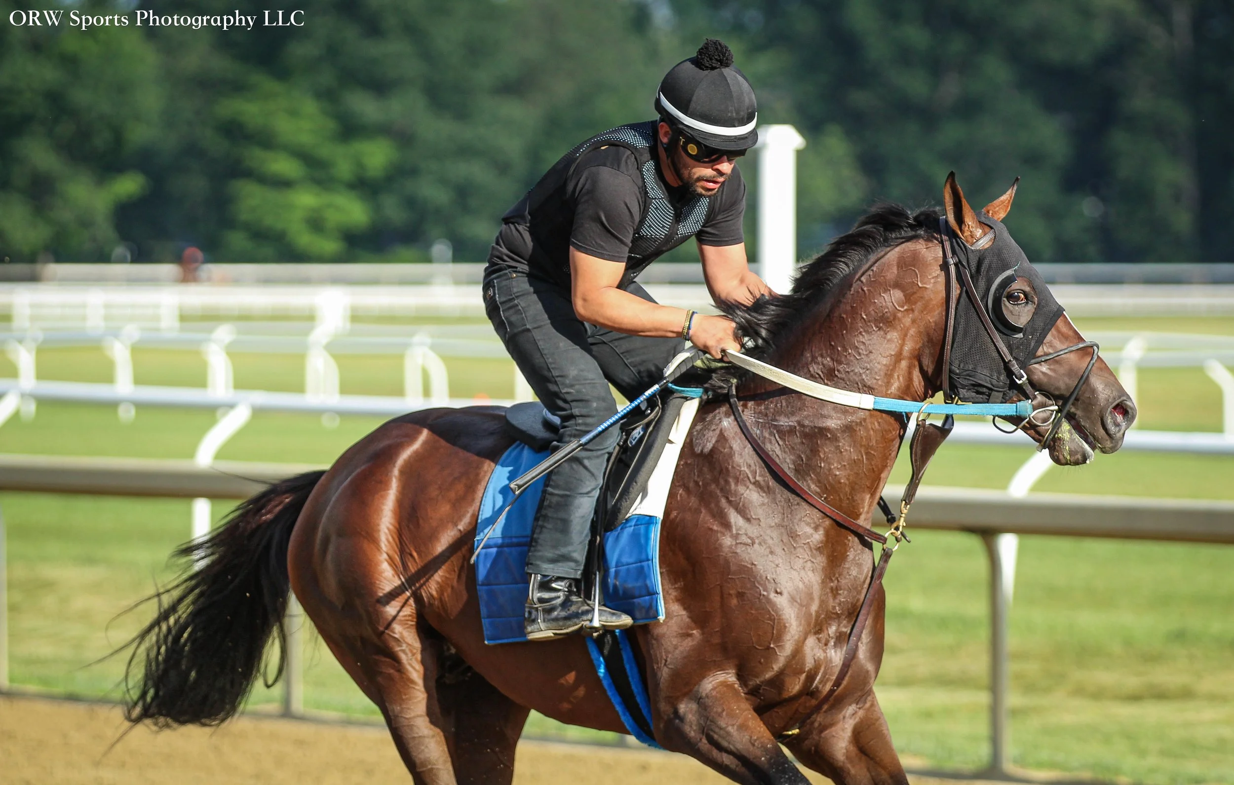 Steve Asmussen Trainee