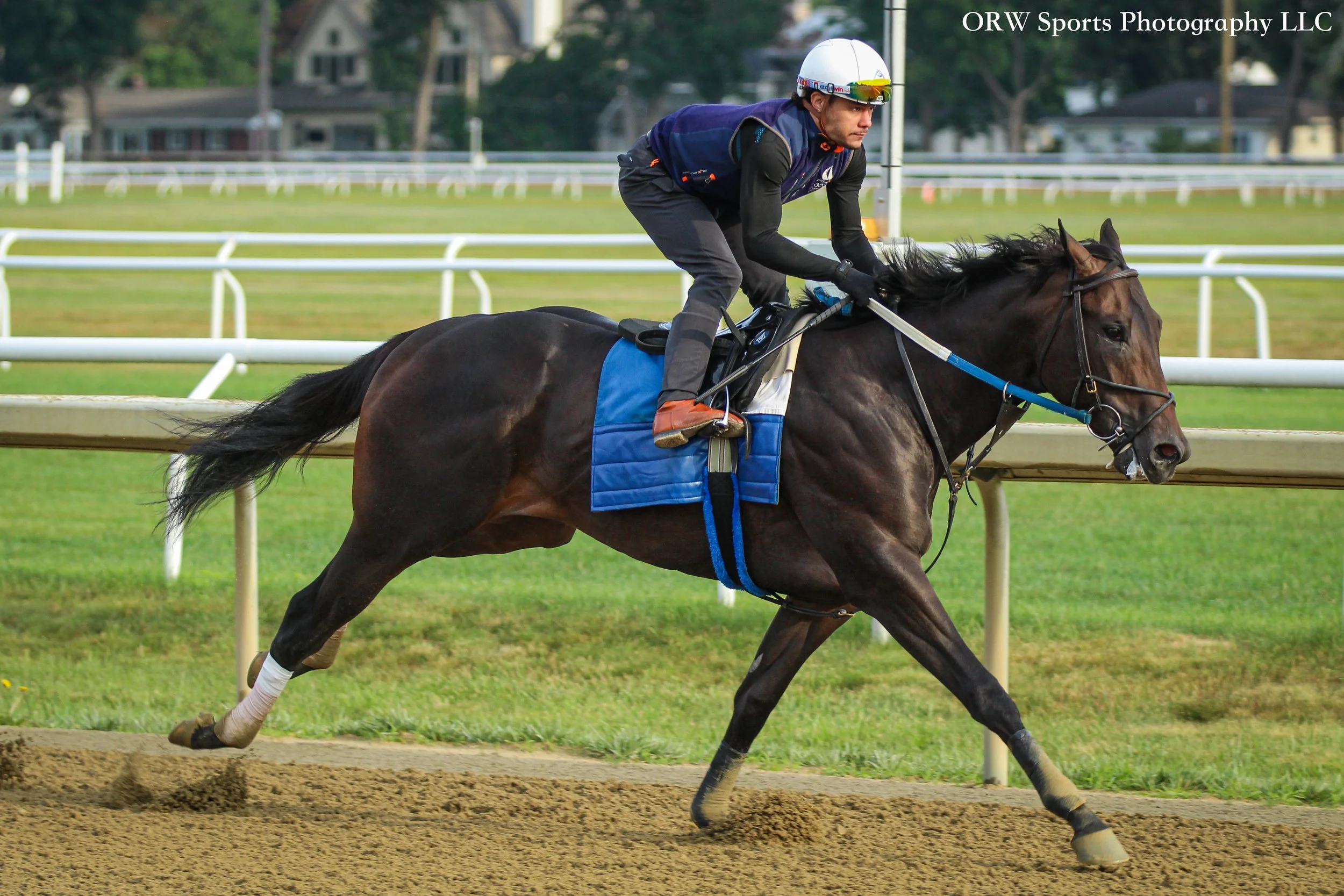 Steve Asmussen trainee