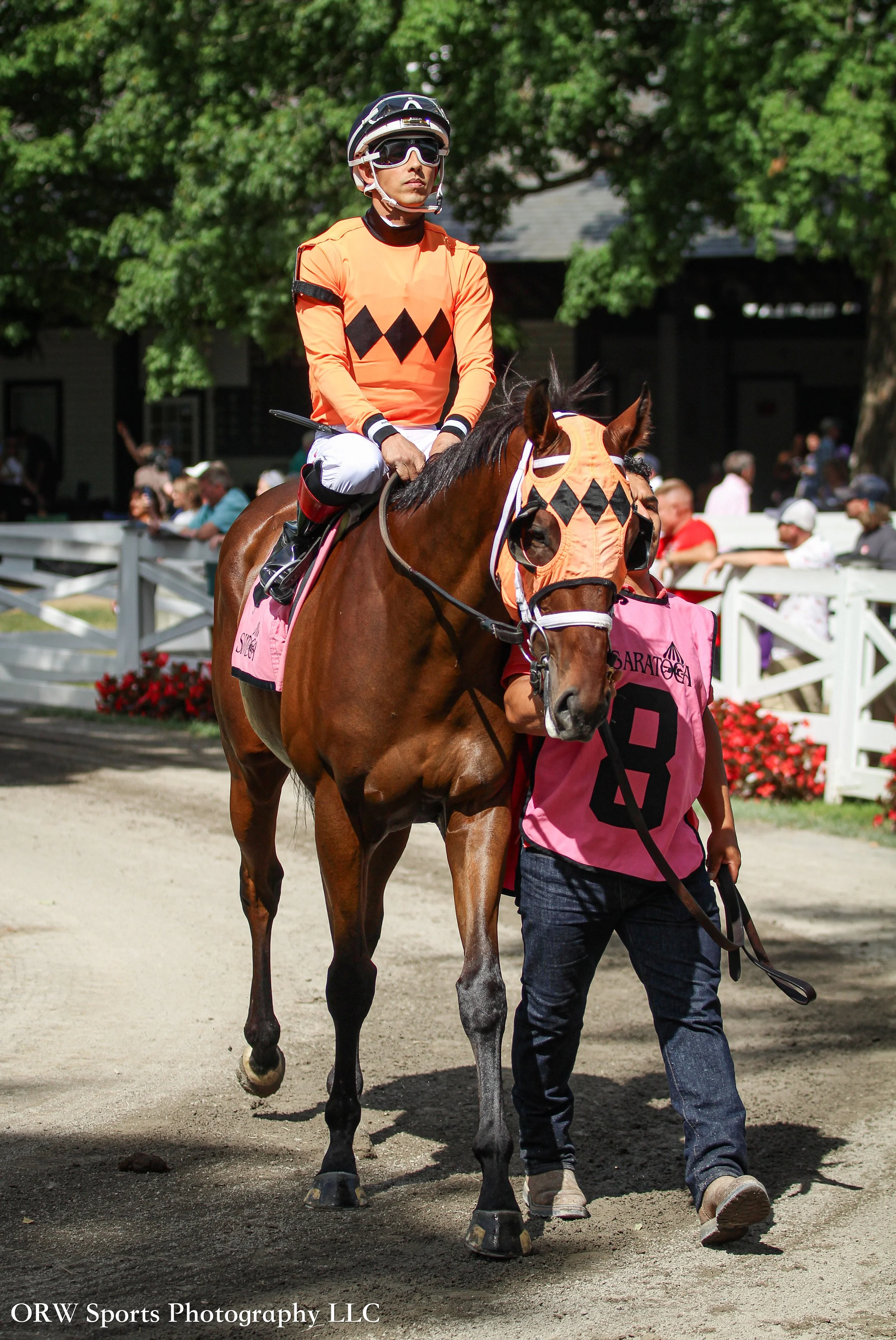 The Hidden Chamber and Edgard Zayas 