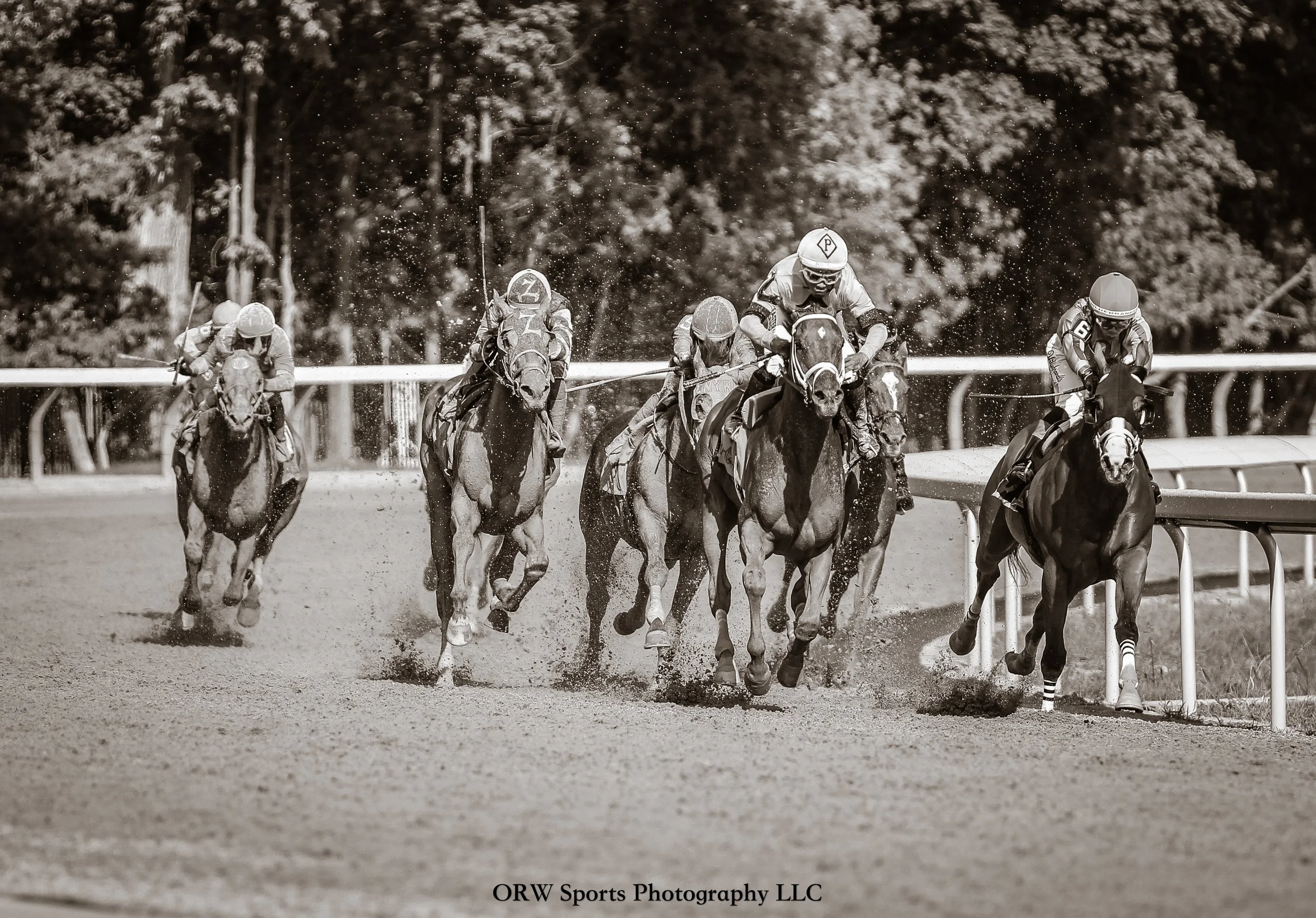 Race 7 