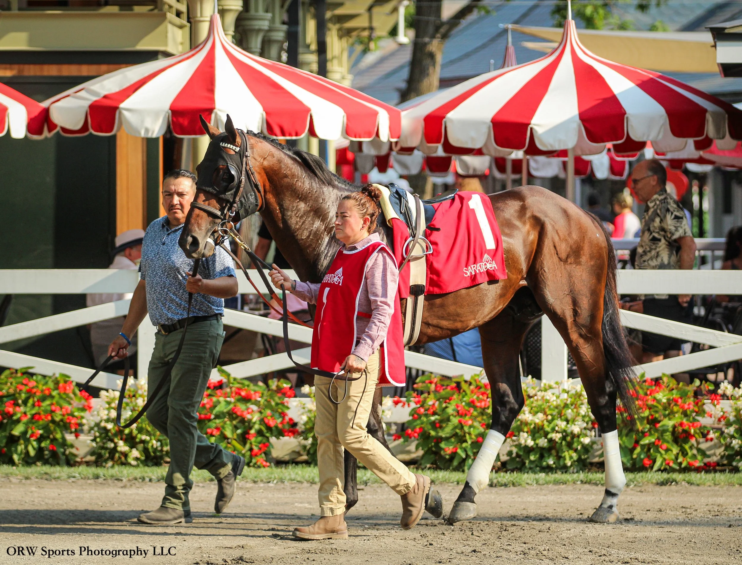 Stars and Strides 