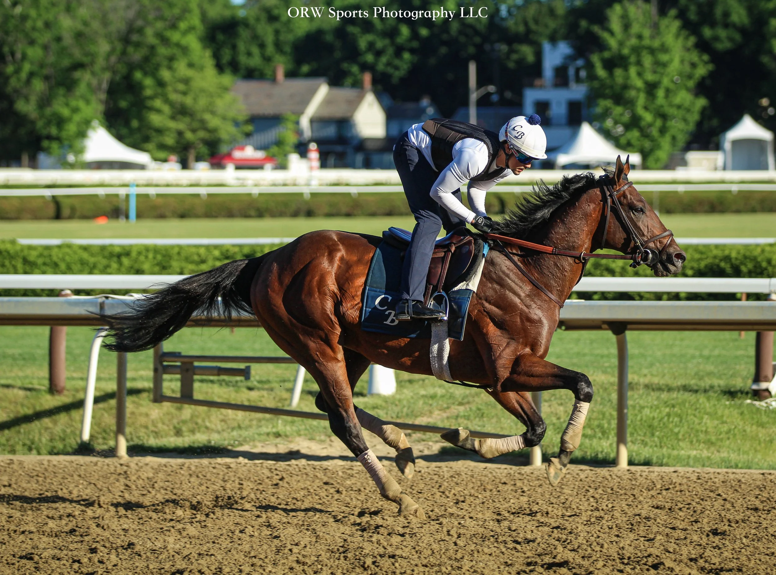 Chad Brown Trainee 