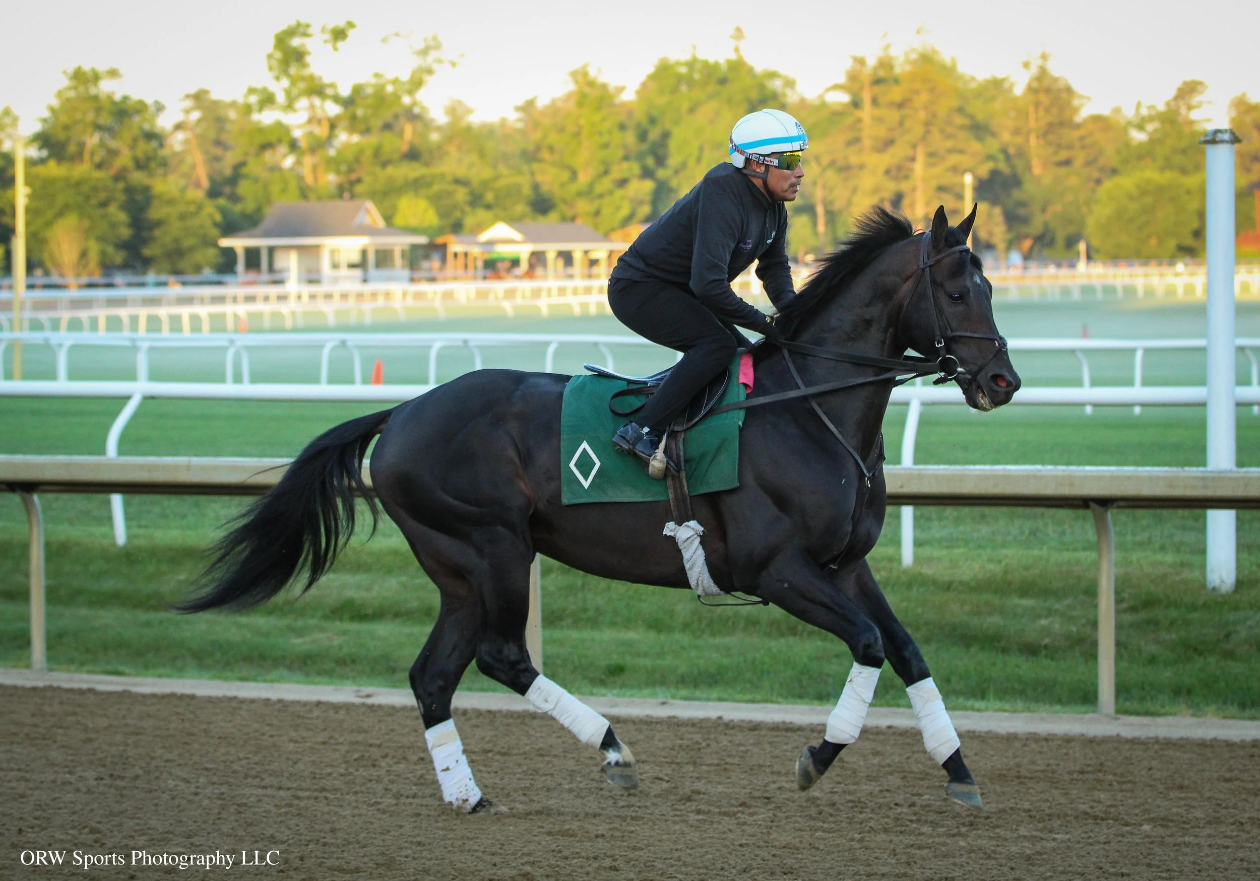 The mighty Knightsbridge. He will be making his next start in the Grade 1 Met Mile