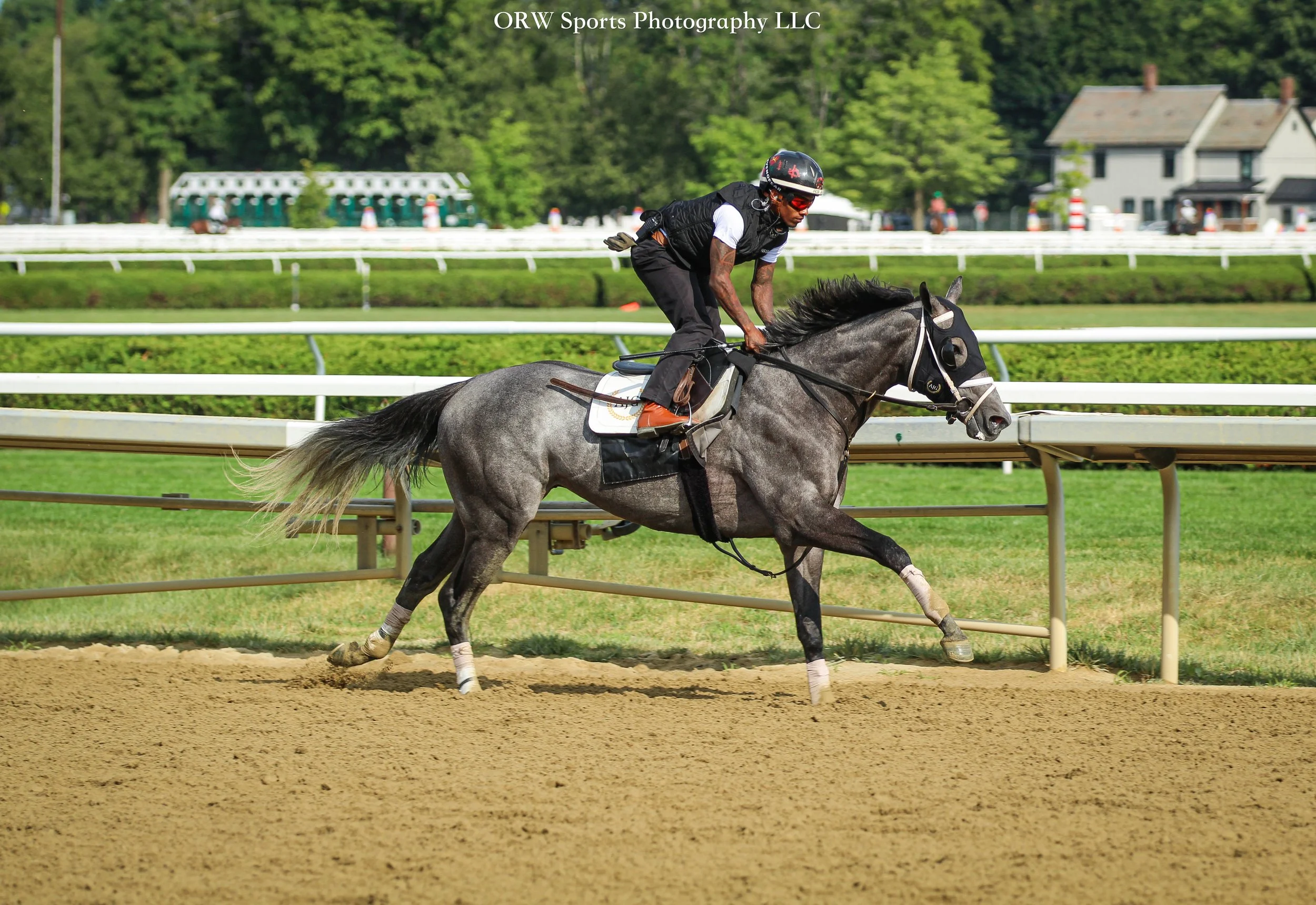 Amelia Green Trainee. Ricardo Santana Jr aboard. 