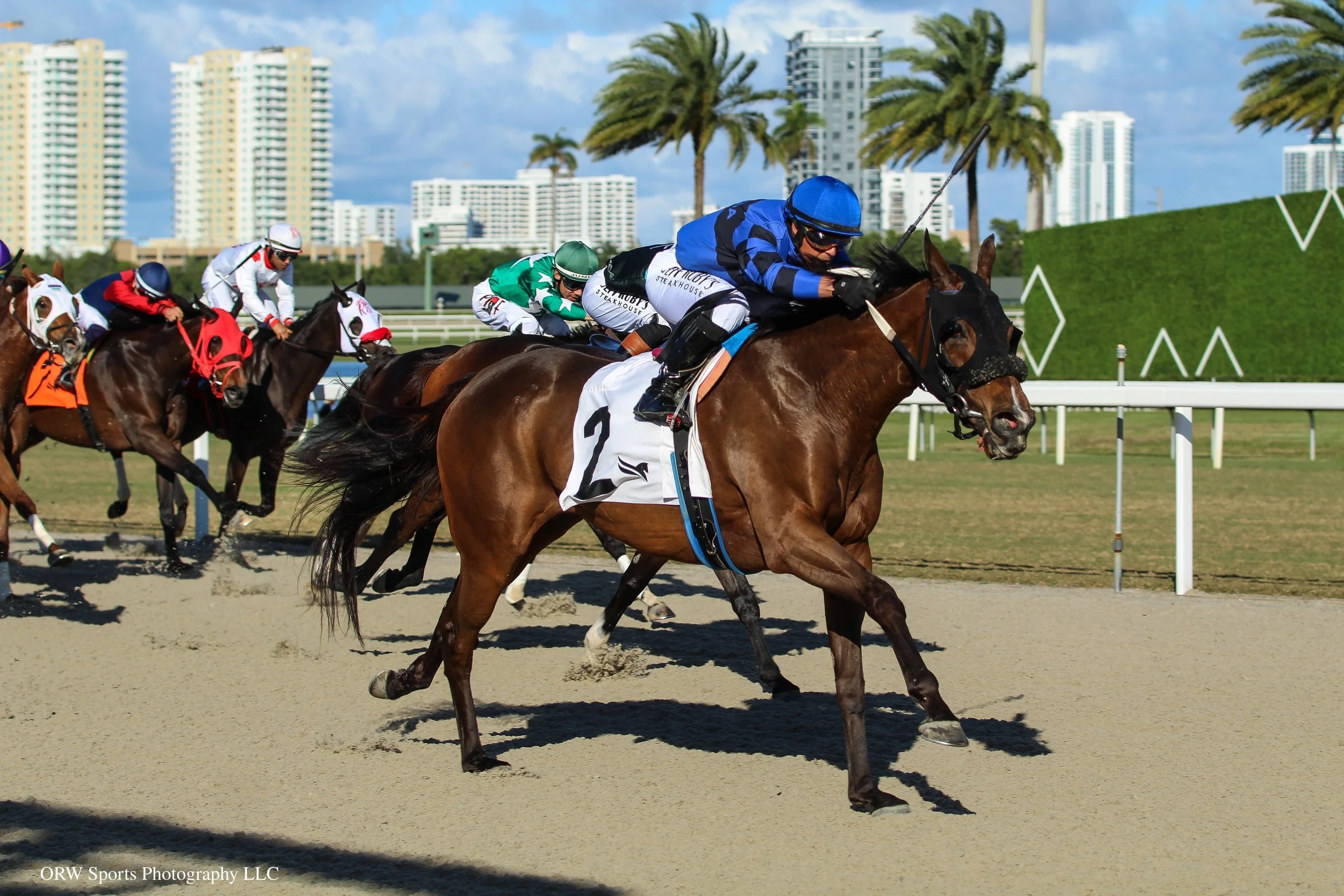 Mi Triguena and Javier Castellano 