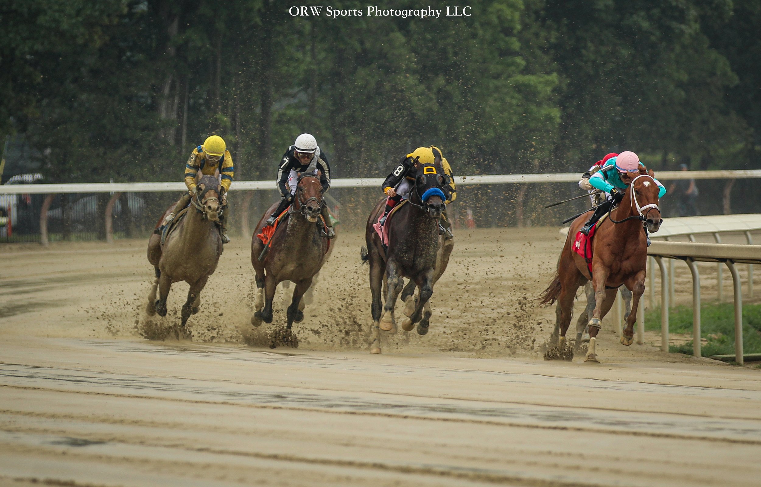 Race 6 