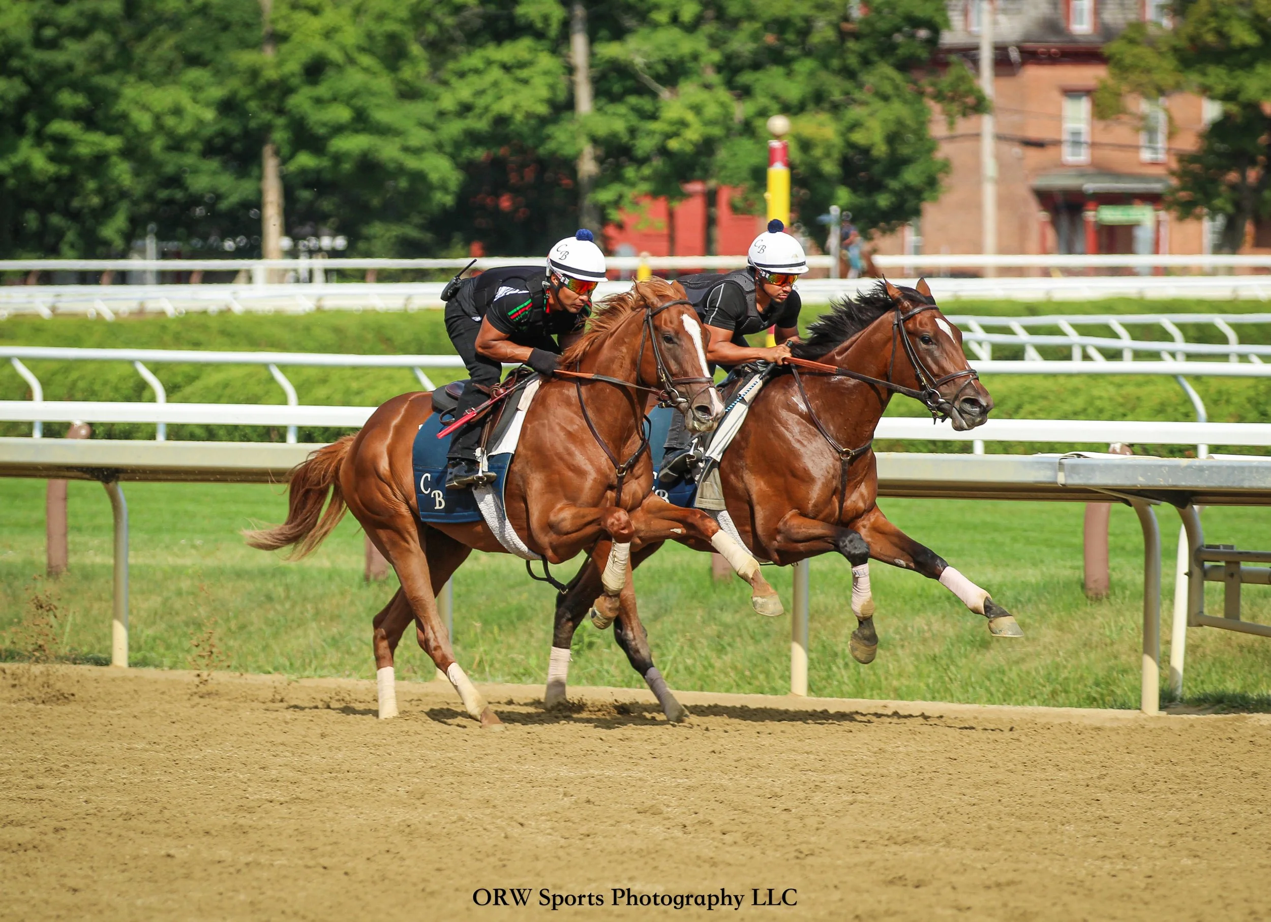 Chad Brown trainees