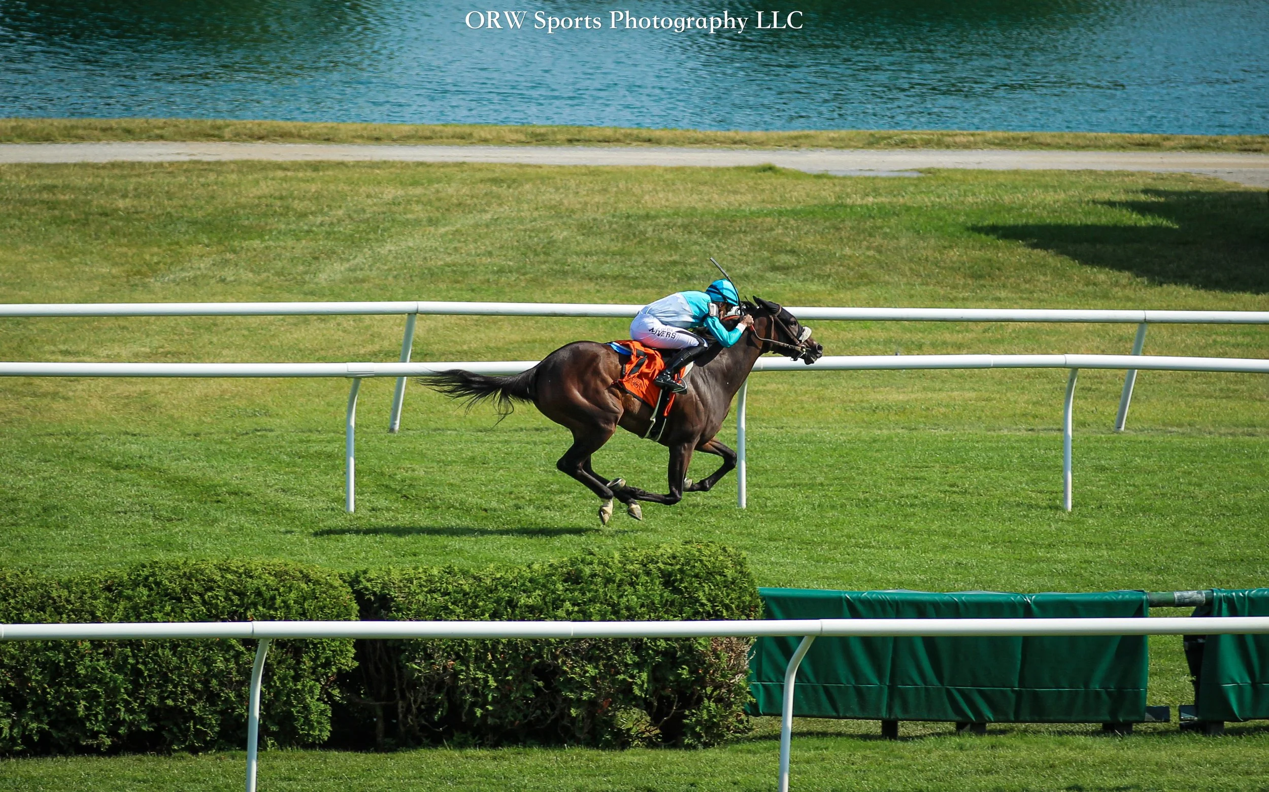 Cosmic Candy Girl and Chris Elliott upset the Suzie O'Cain Stakes at odds of 26-1 