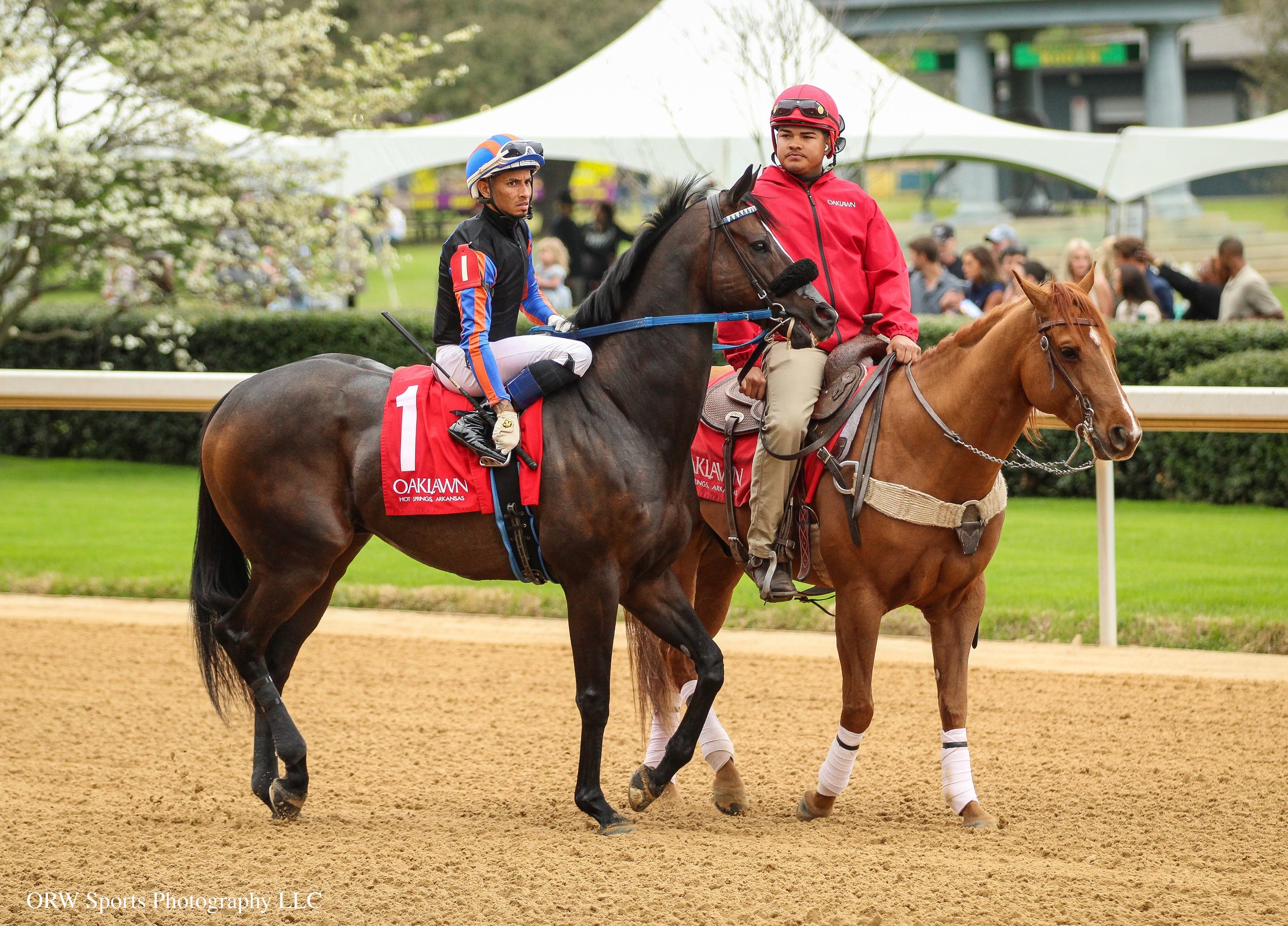 Miracle Mark and Ramon Vazquez 