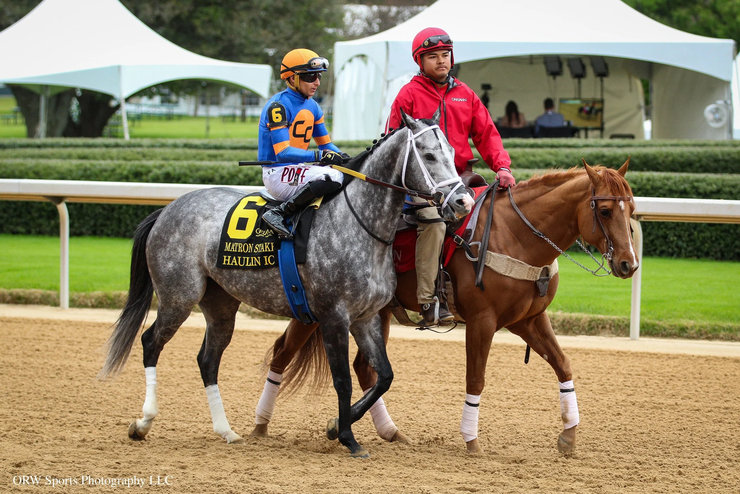 Haulin Ice and Francisco Arrieta (1).jpg