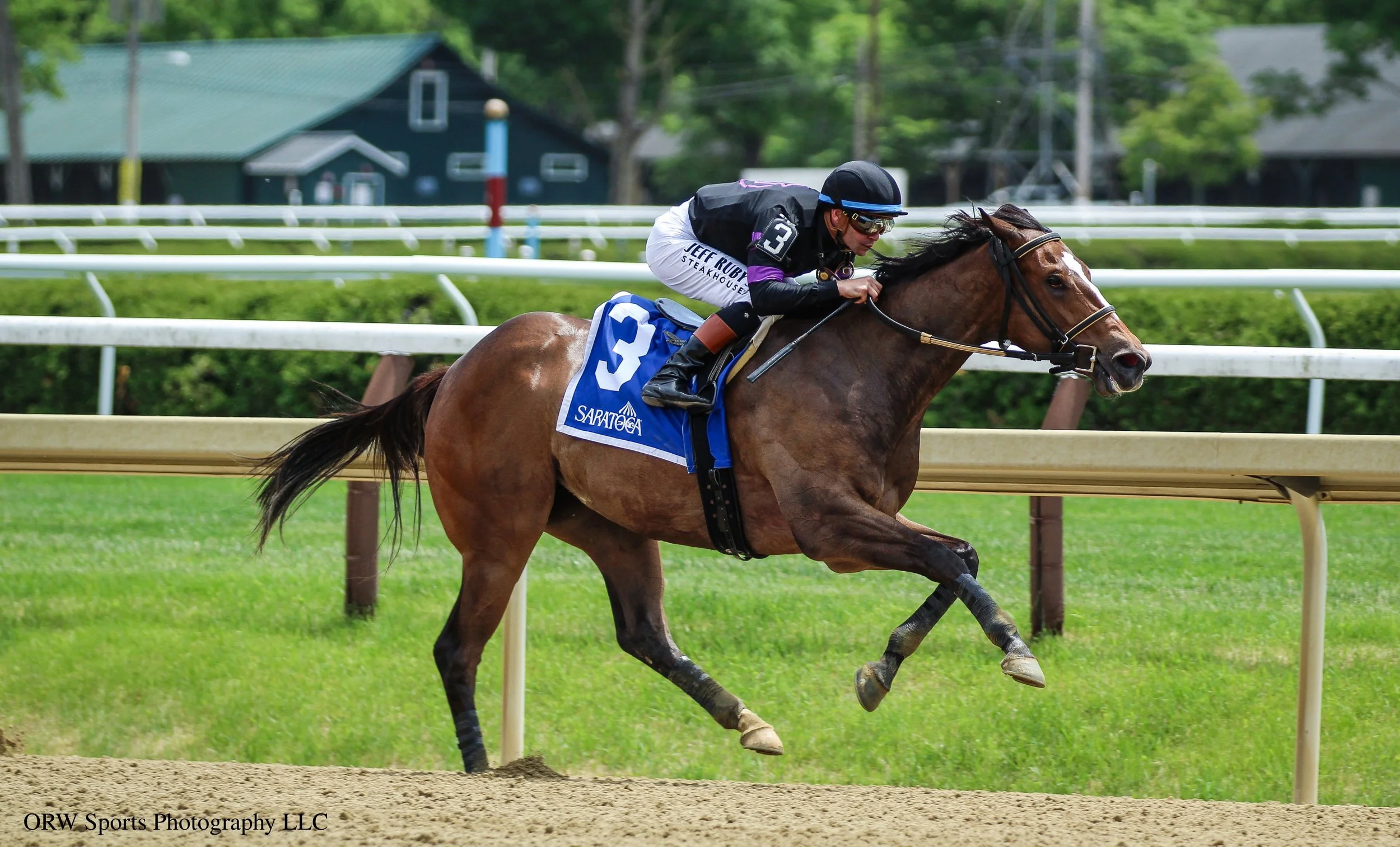 Luminous Beauty dazzles on debut for trainer Jena Antonucci