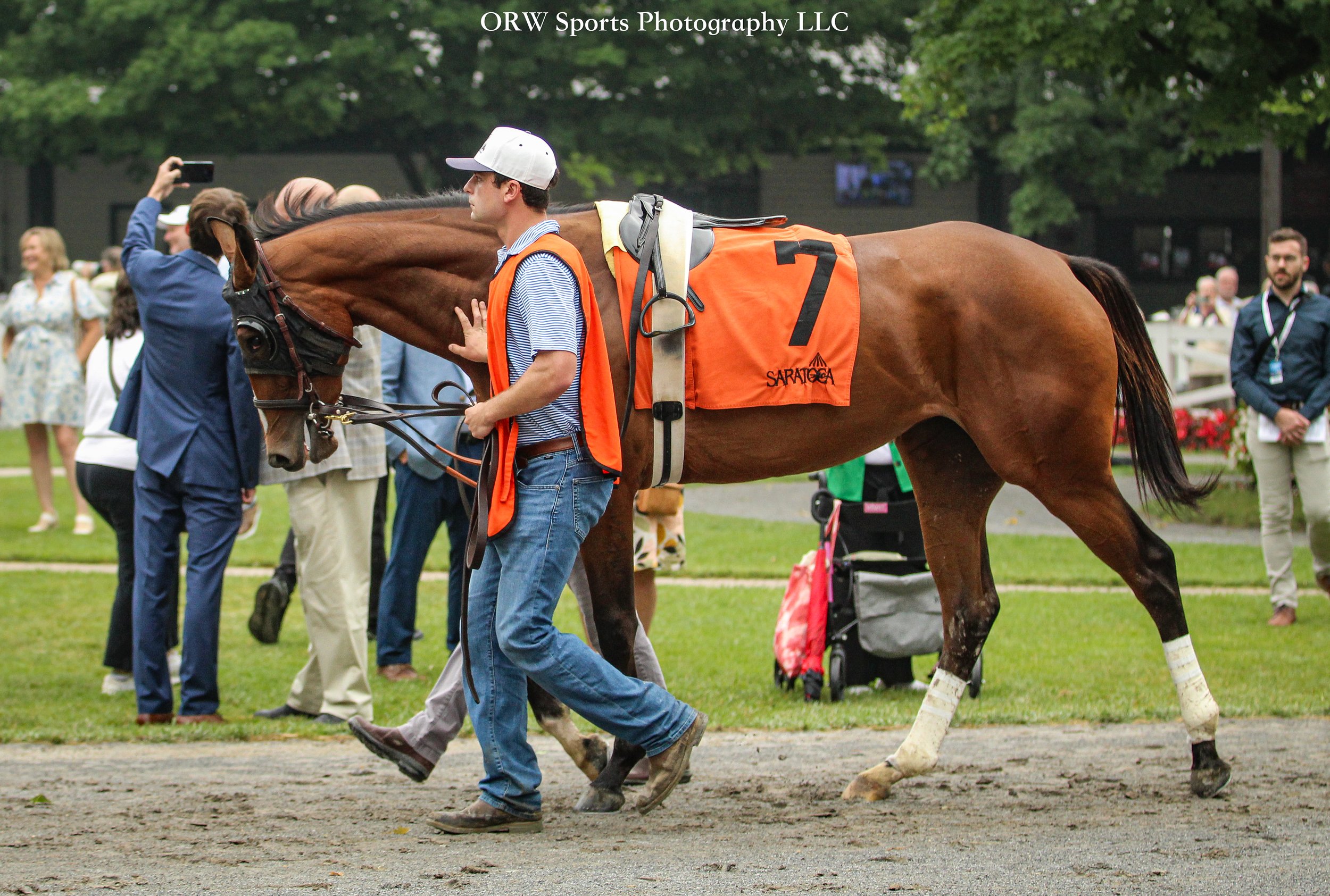 However, not everything goes according to plan. Not long after this photo was taken, Ellie flipped in the paddock, which leads to an automatic scratch in the state. Ellie is 2, this is her first race, and the number of people and the new environment 
