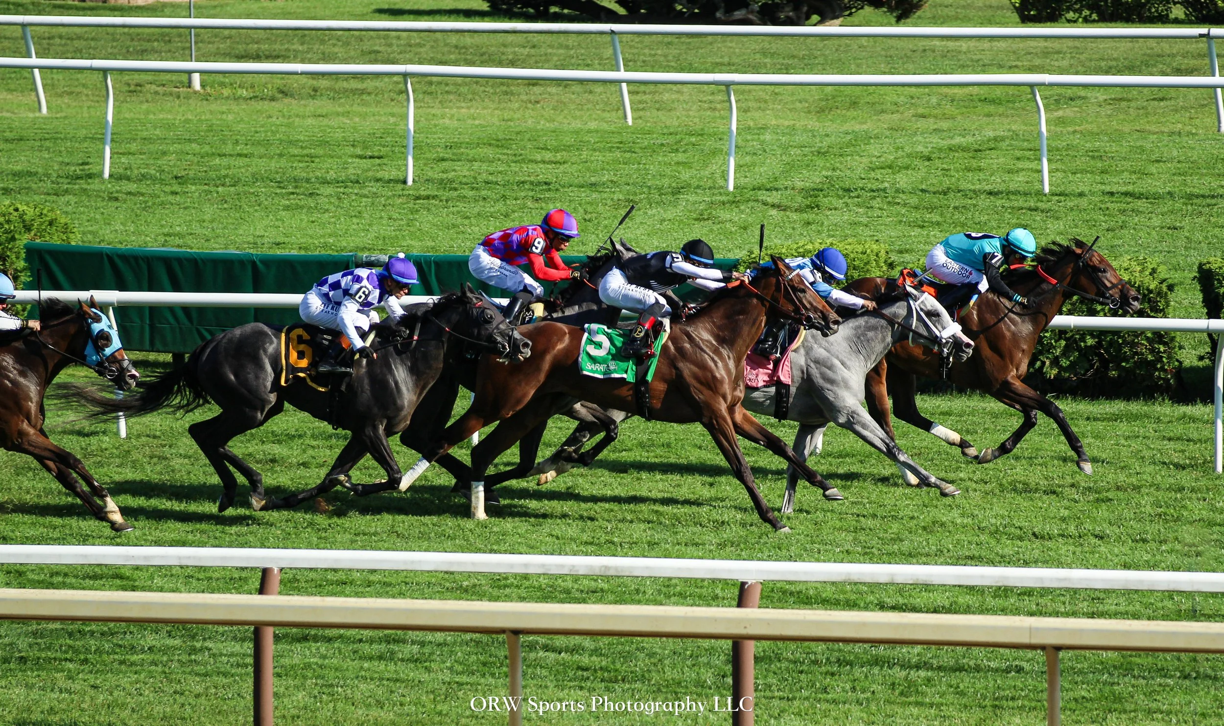Race 8 .jpg