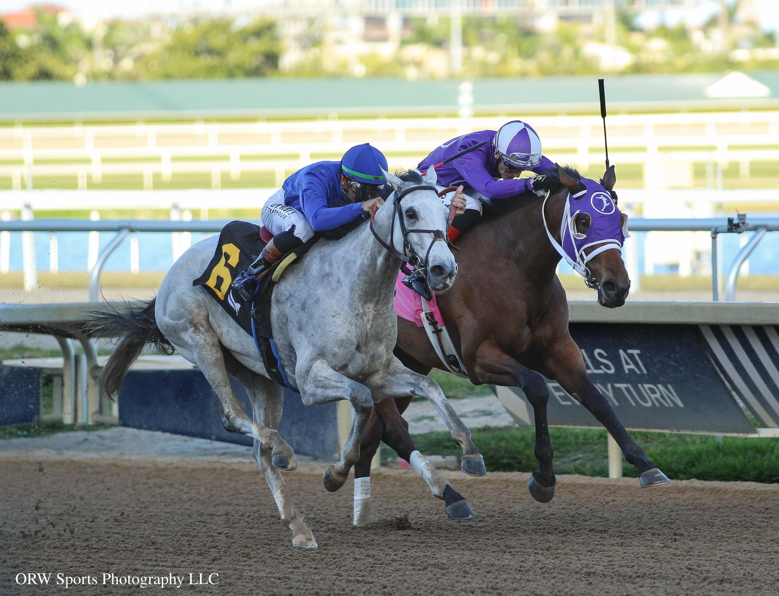 Contrary vs Domino Vitali 