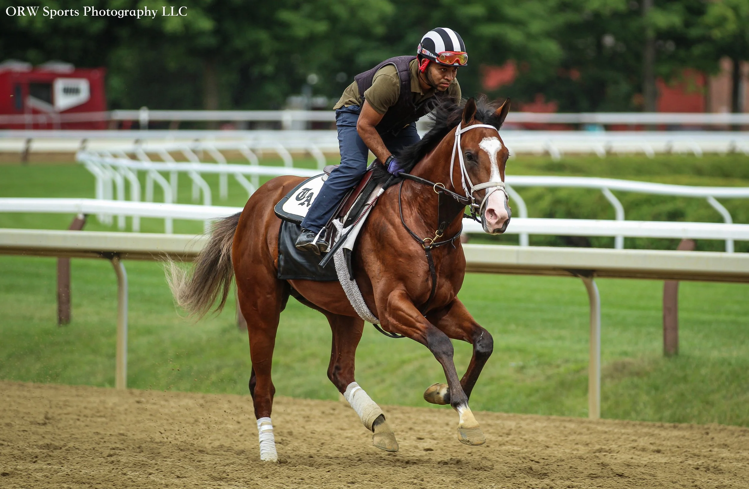 Pletcher Trainee (6) .jpg