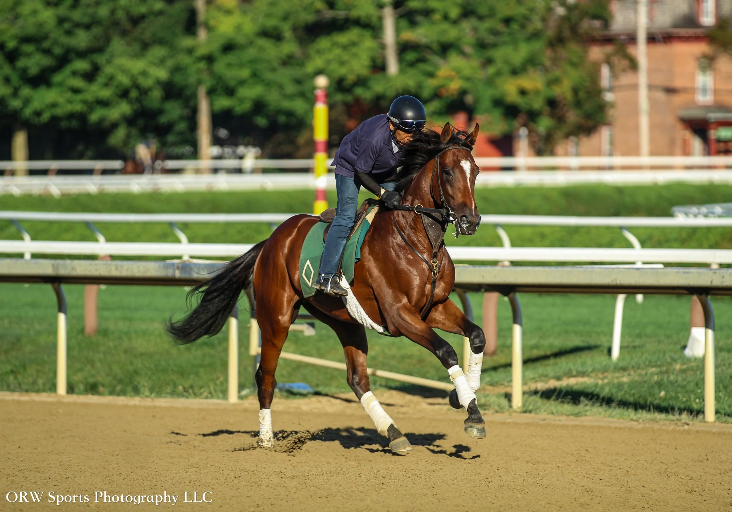 Bill Mott Trainee 