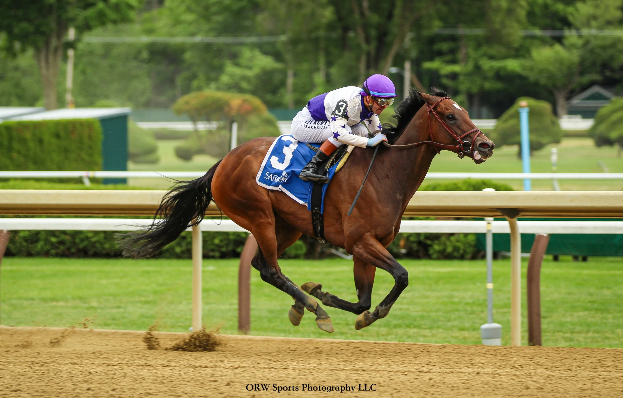 Scottish Lassie, winner of last year's Grade 1 Coaching Club American Oaks, returns to races in style. 