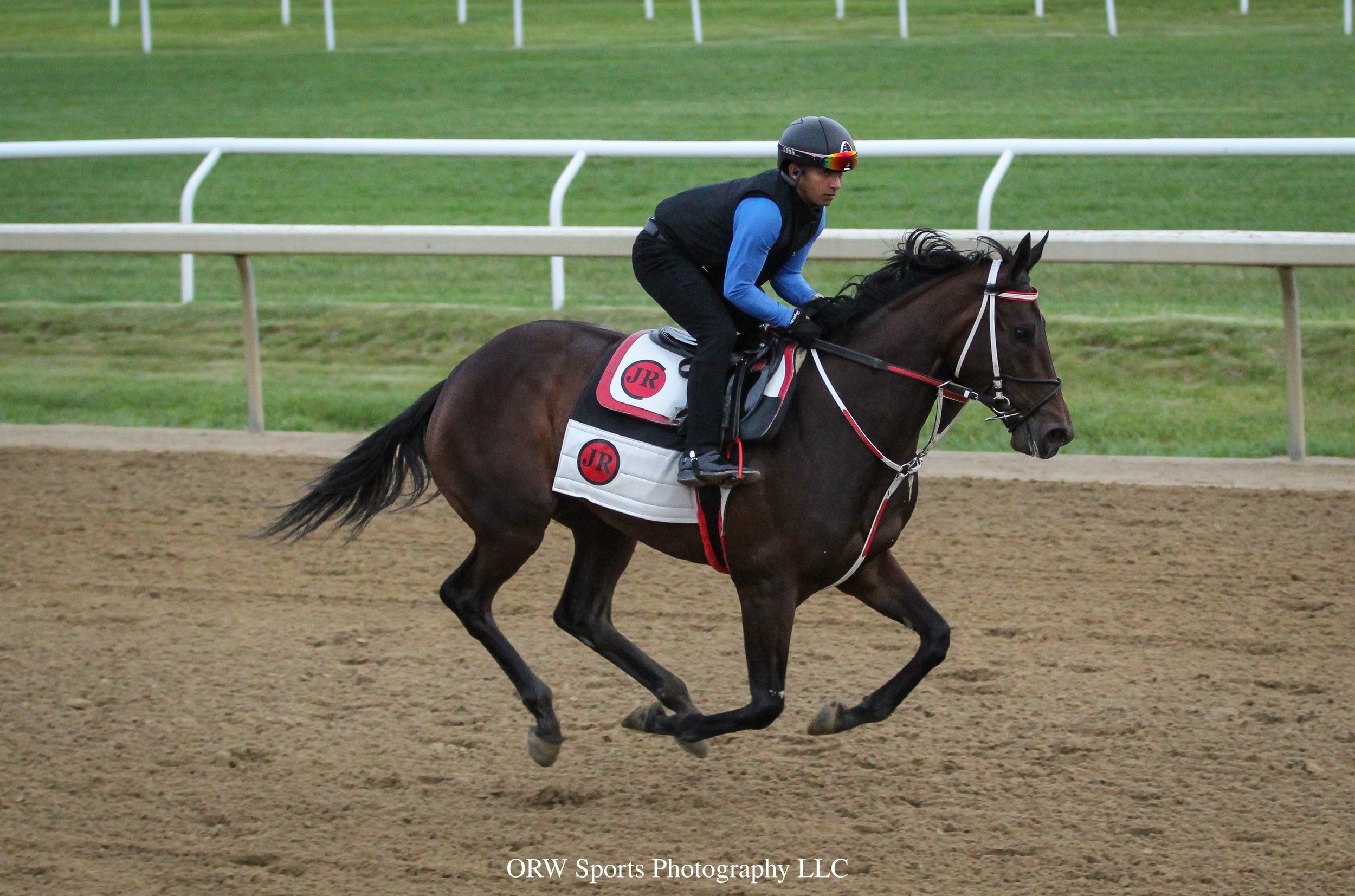 Robert Falcone Trainee 