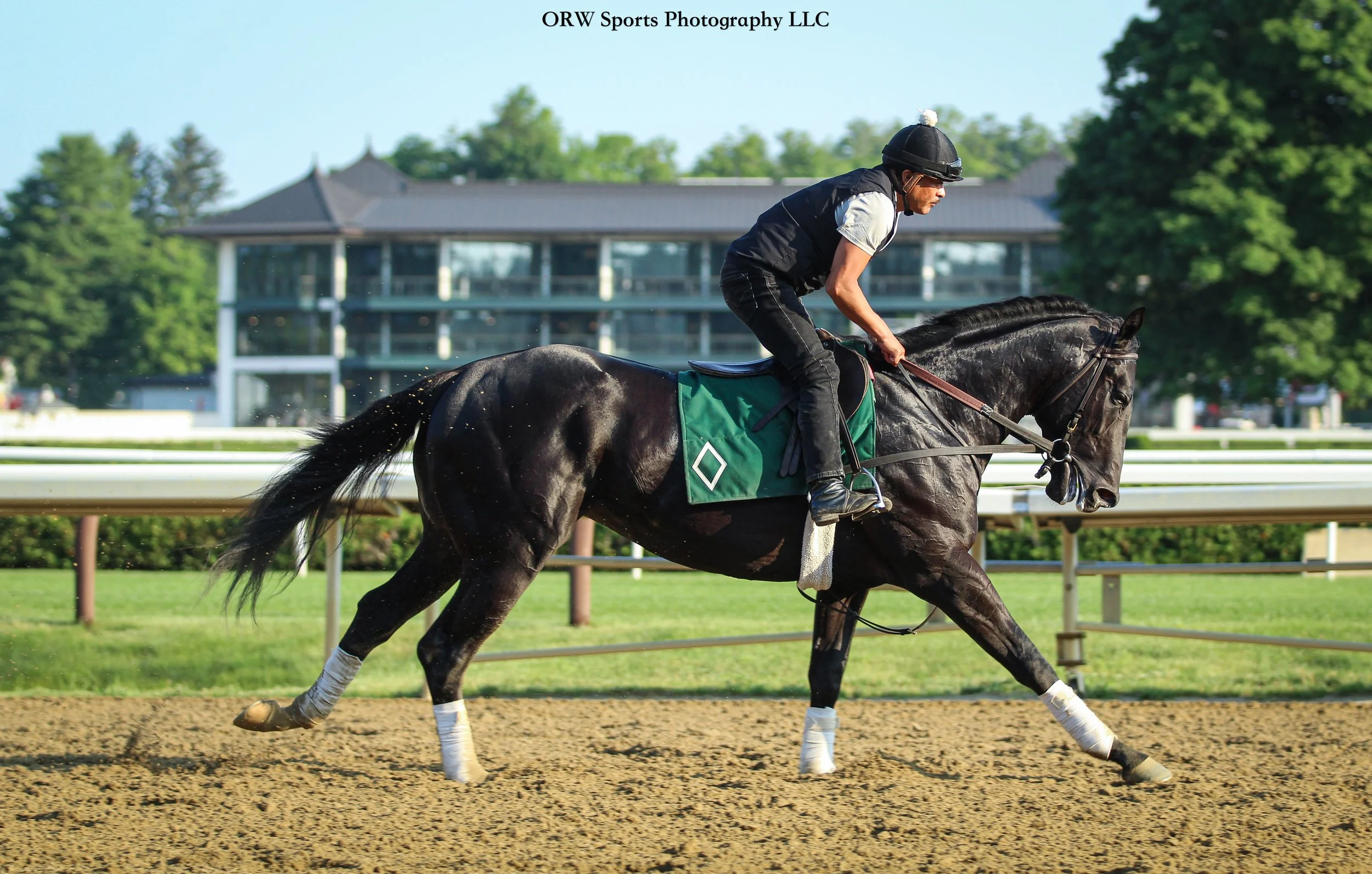 Mott Trainee (7) .jpg
