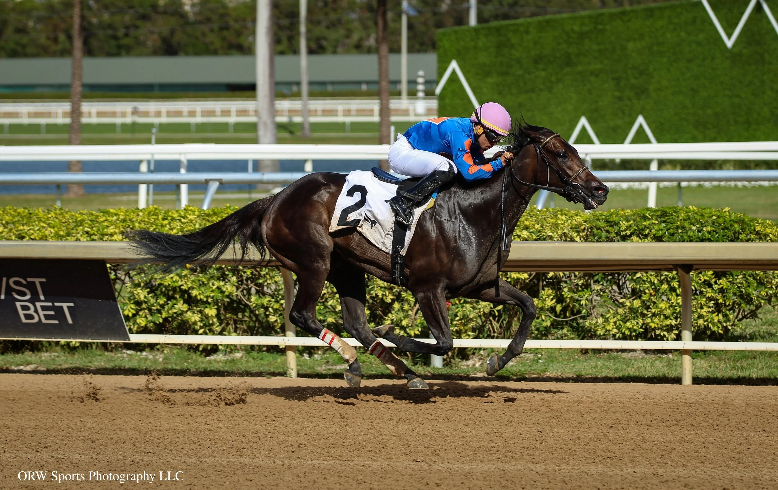 Sippin Pretty and Edgar Perez 