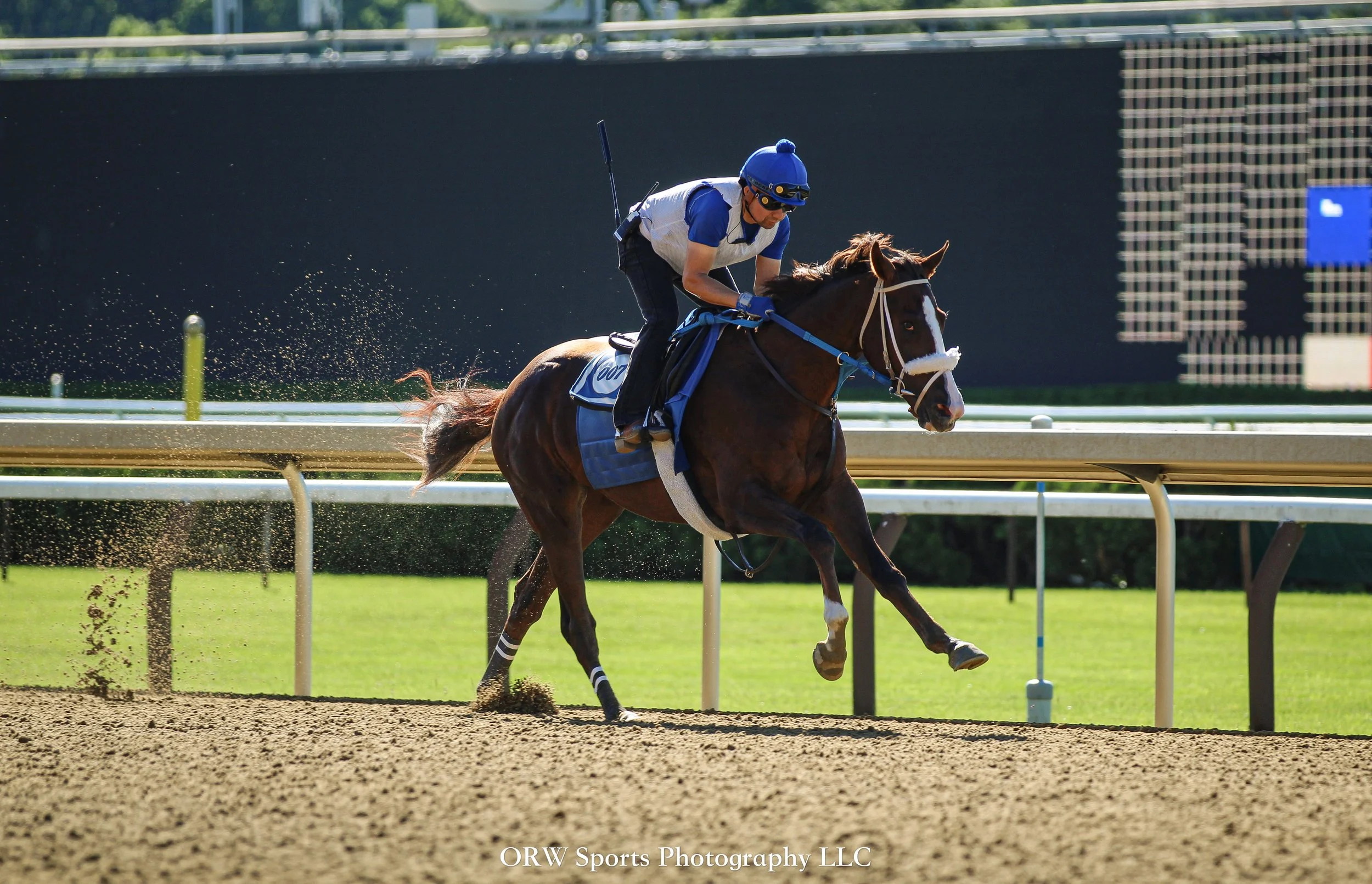 Montosoli breezing over the main track