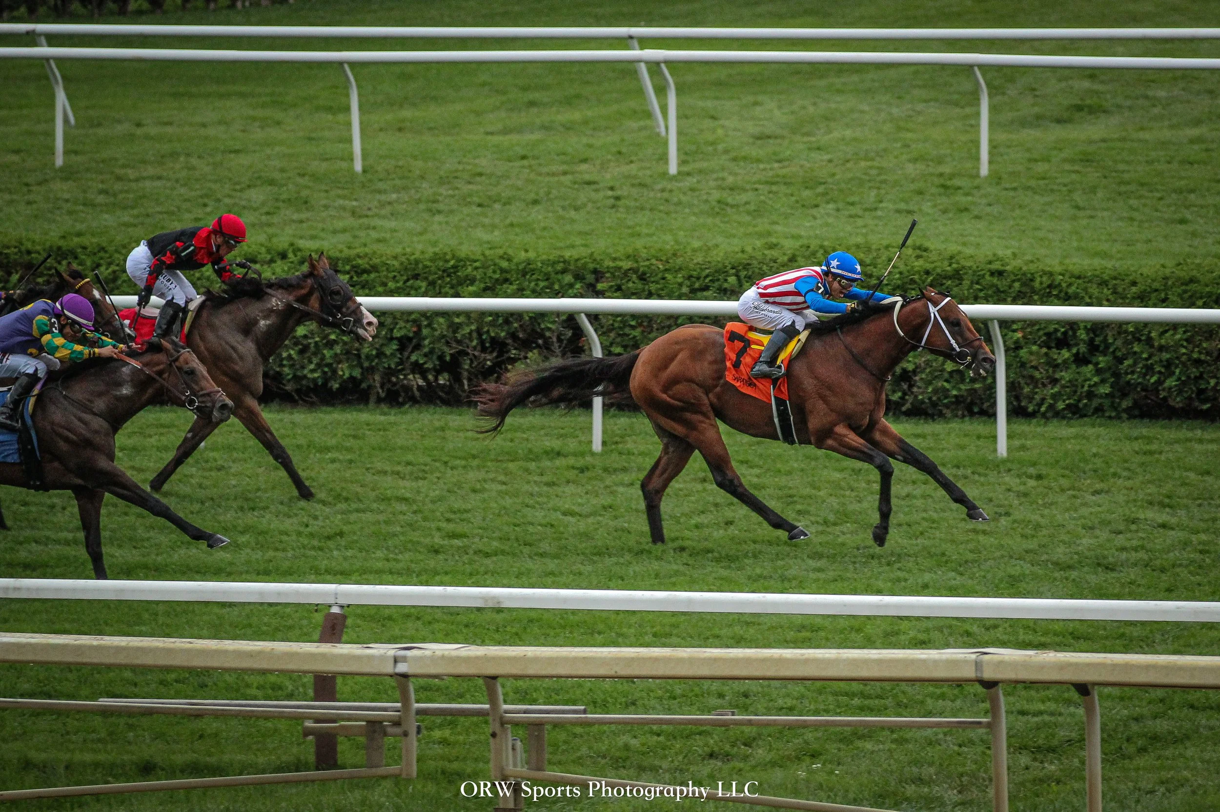 Stradale gets his first stakes win in the Mahoney. Jose Ortiz is aboard for trainer Steve Asmussen. 