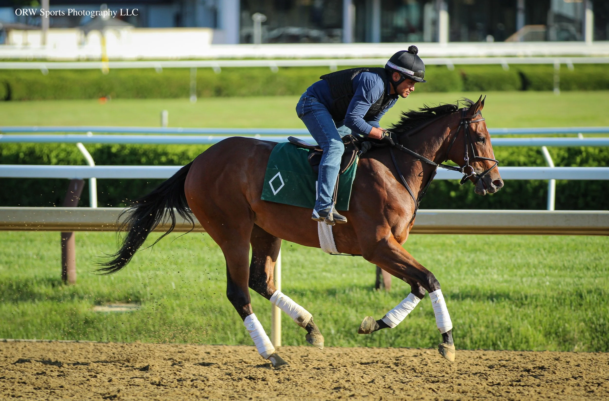 Mott Trainee (6).jpg