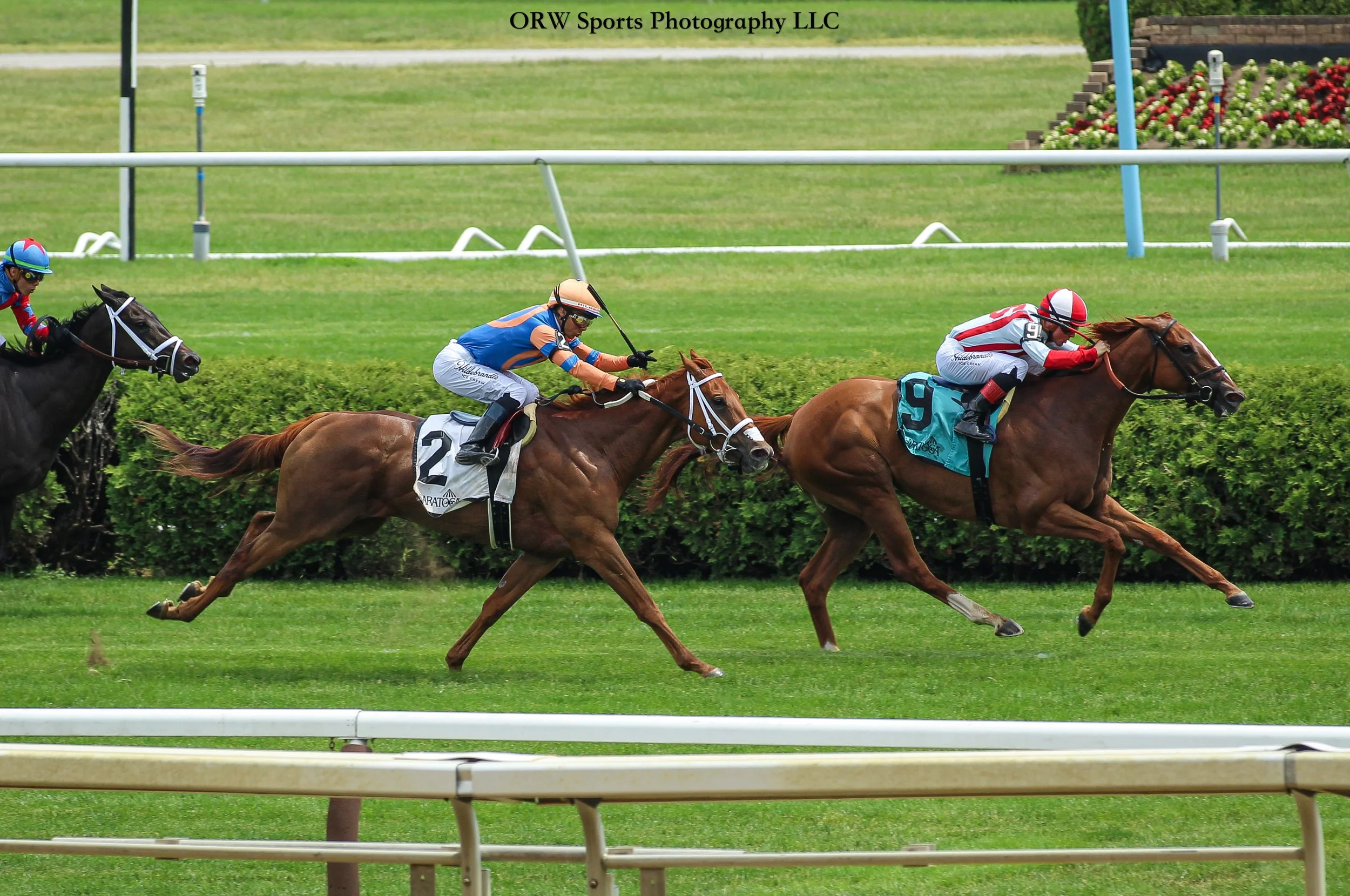 Martplaceofideas wins race 5 from Eponine