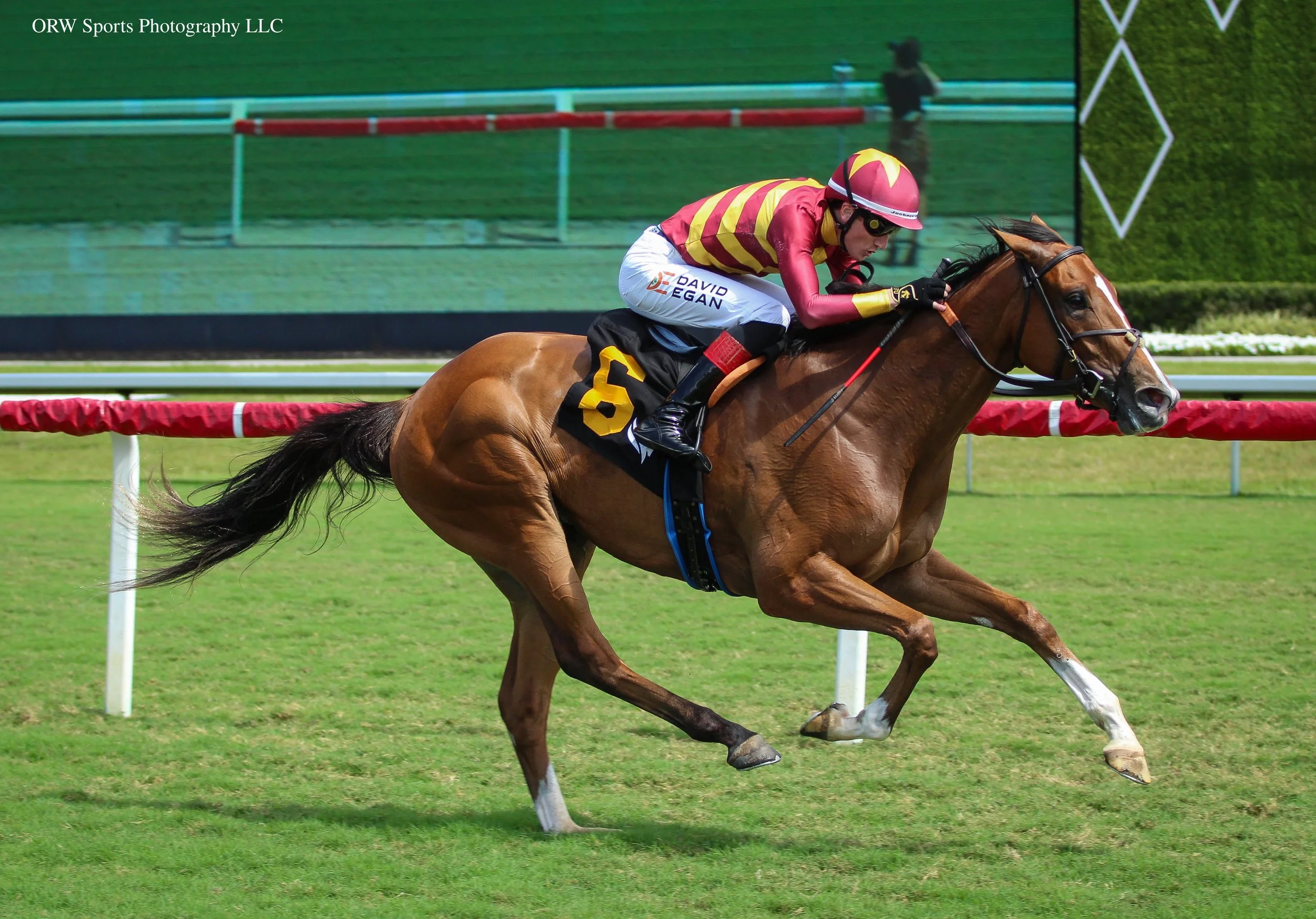 Trust Account and David Egan 