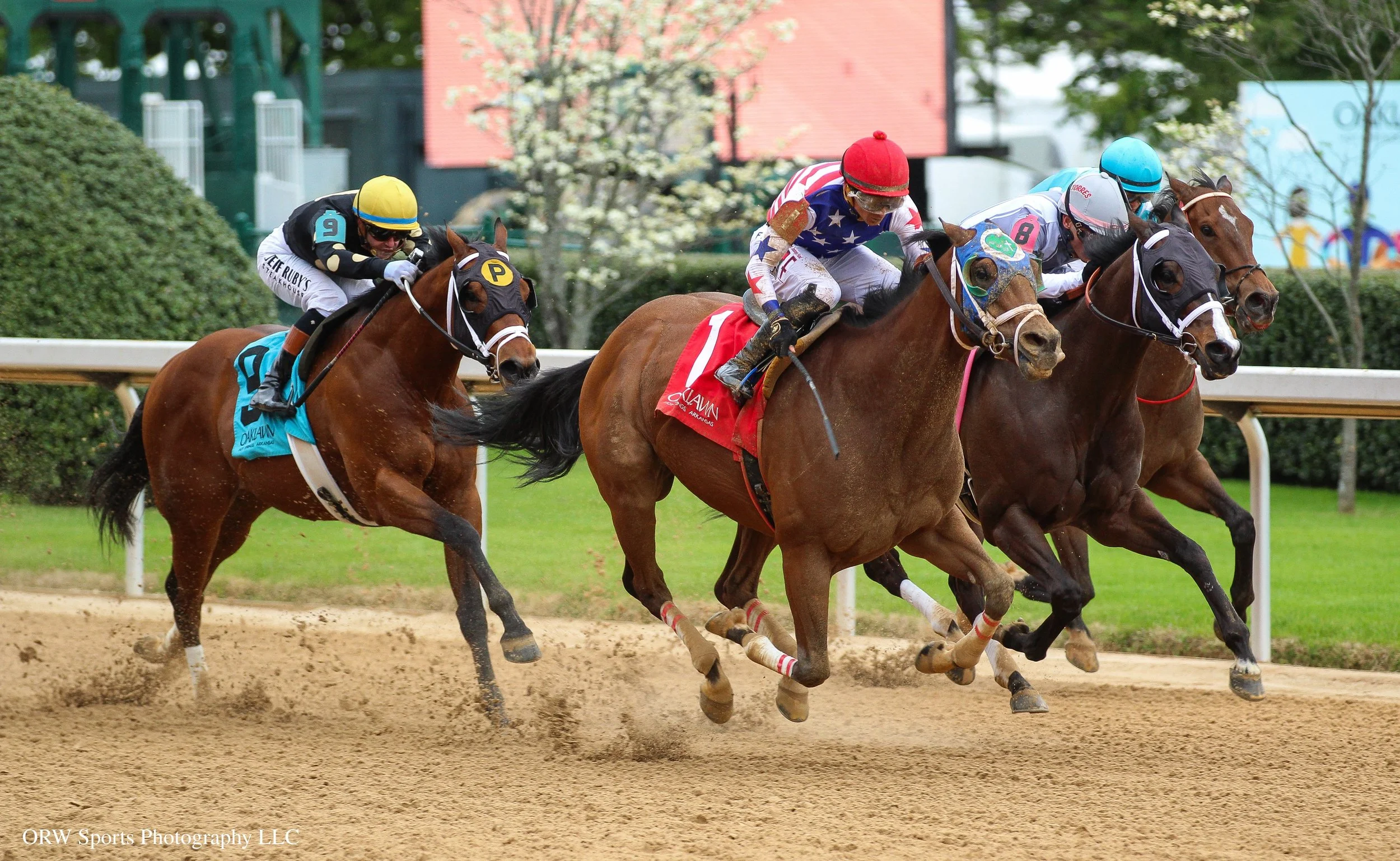 Race 8 