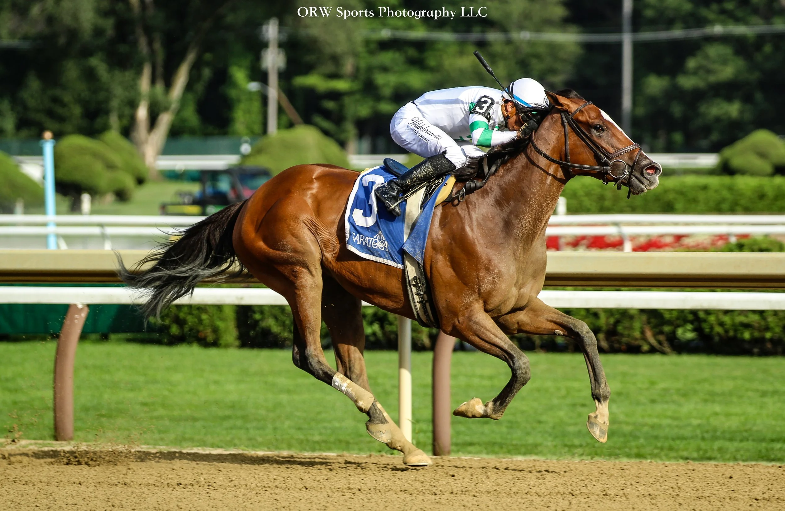Munnings Express and Manny Franco (7) .jpg