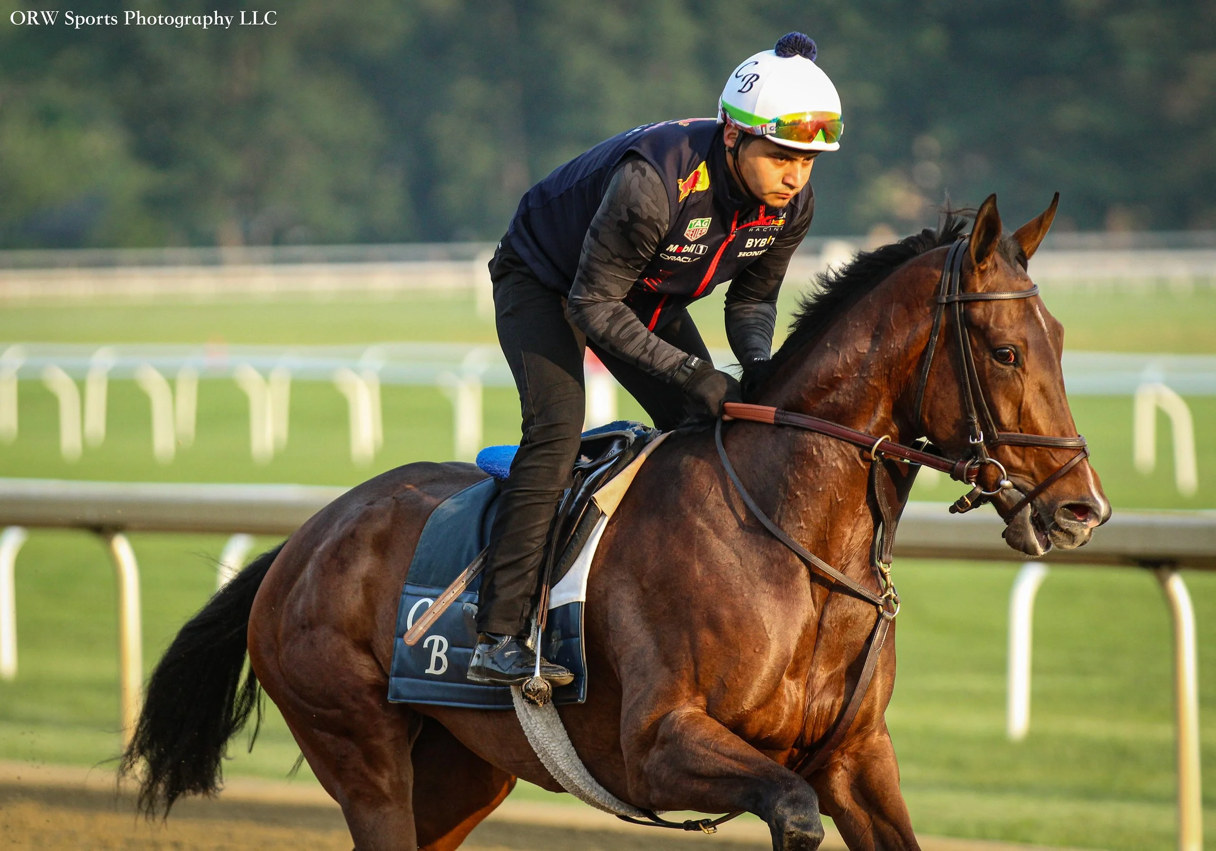 Chad Brown Trainee 