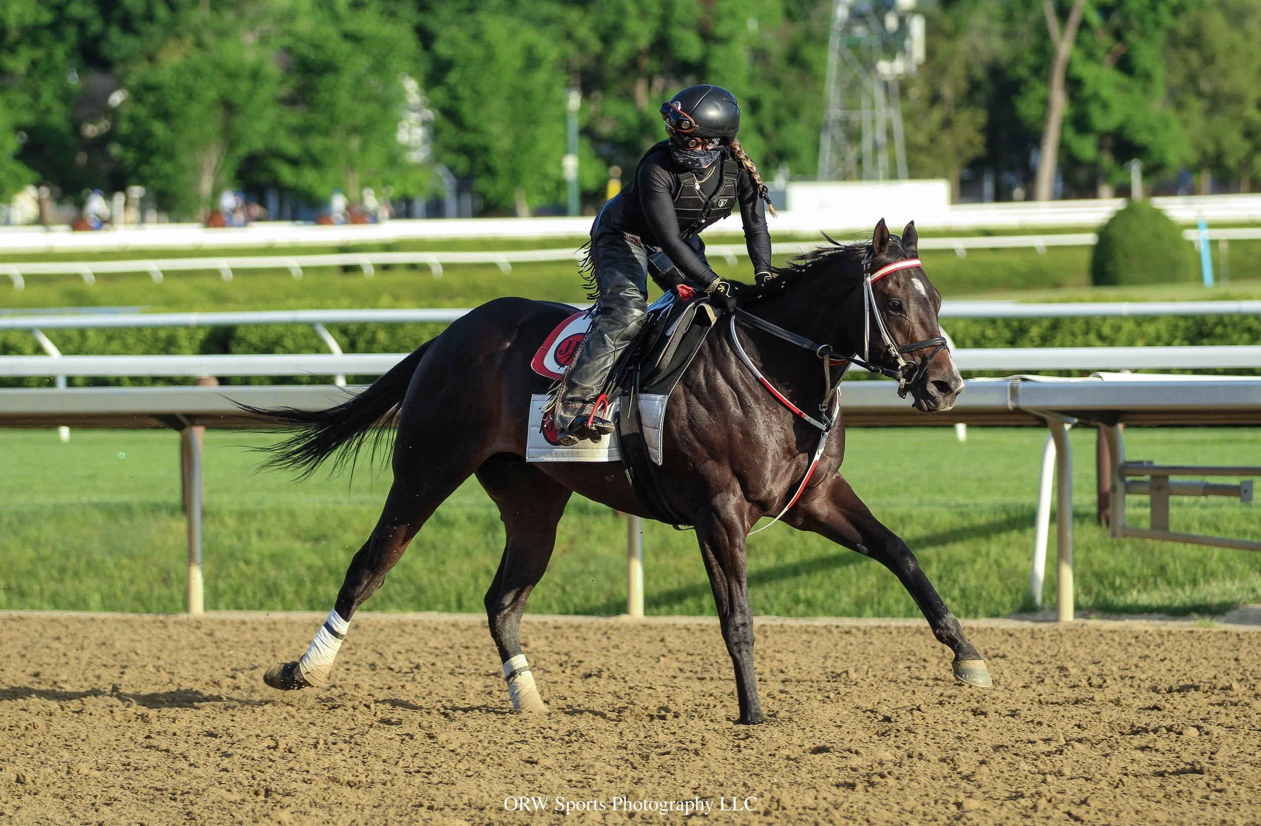 Robert Falcone Trainee 