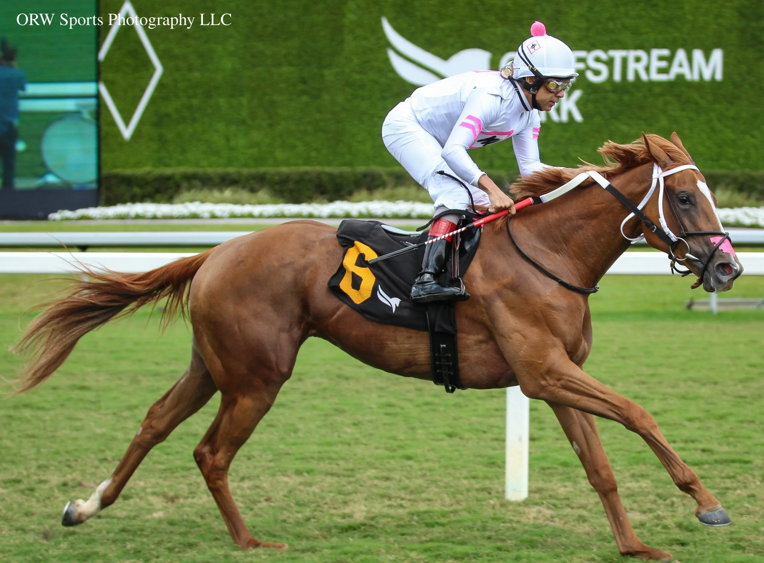 Oscar Bound and Shaun Bridgmohan (6).jpg