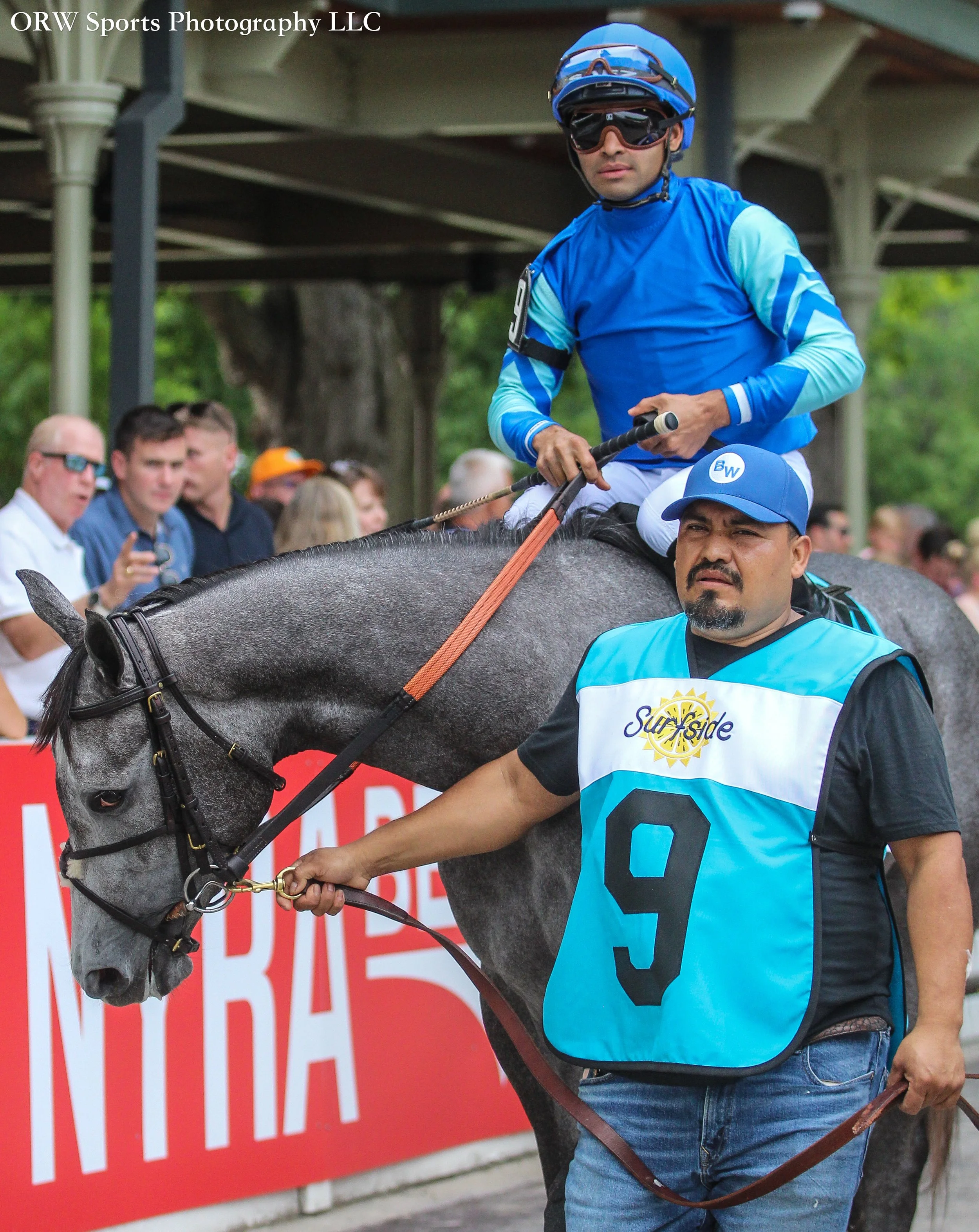 Lion Lake and Luis Saez 