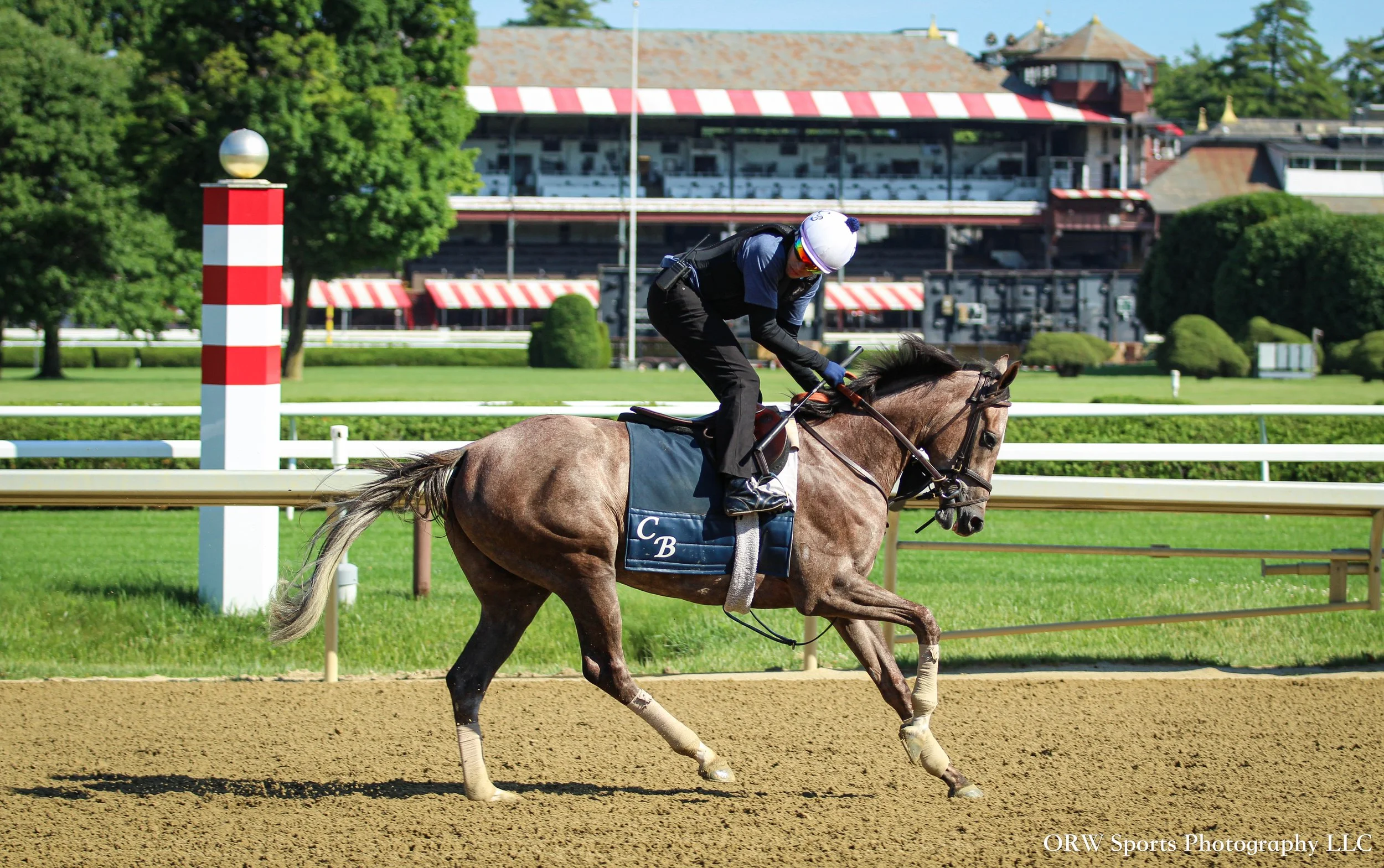 Chad Brown Trainee 