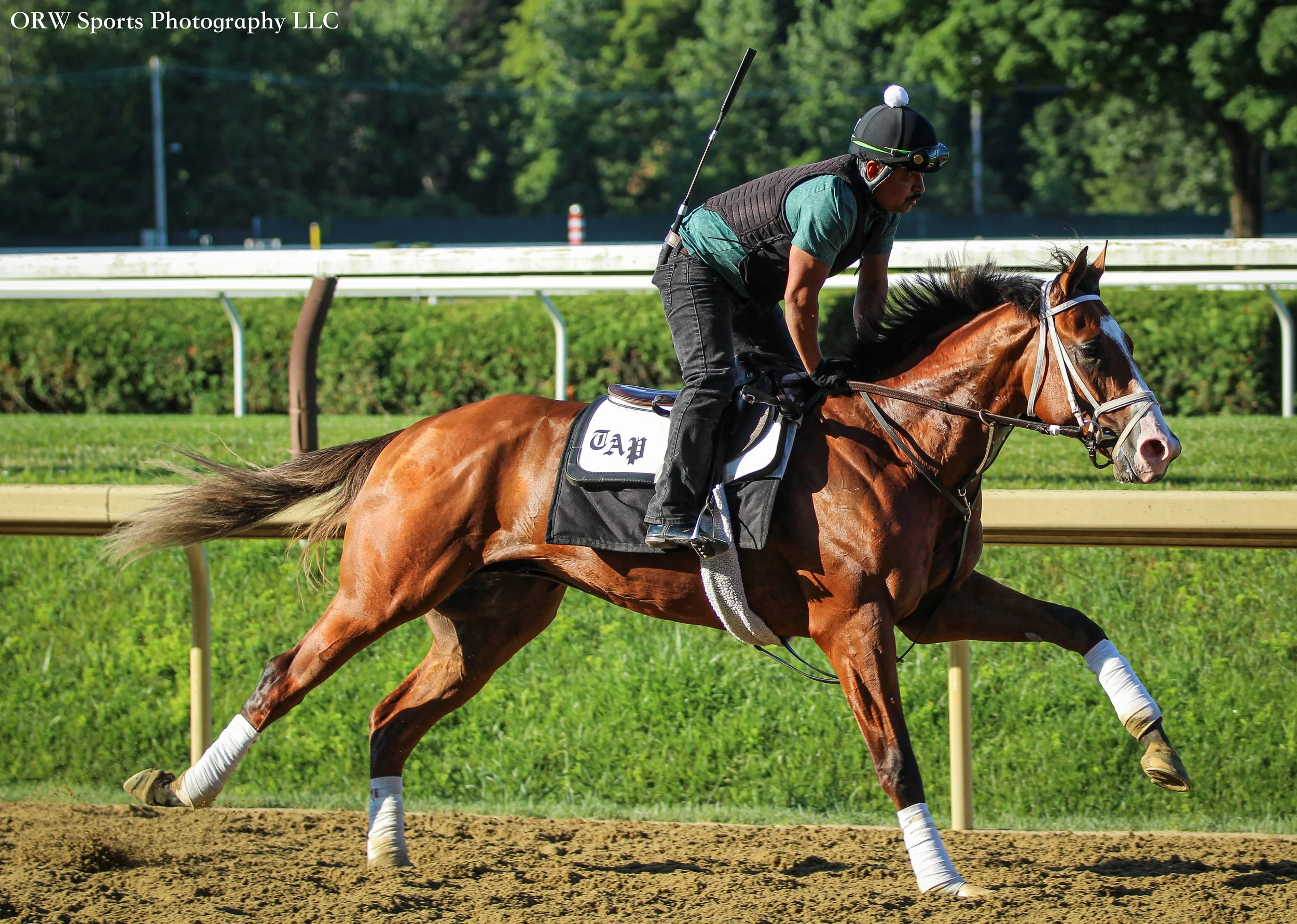 Todd Pletcher Trainee