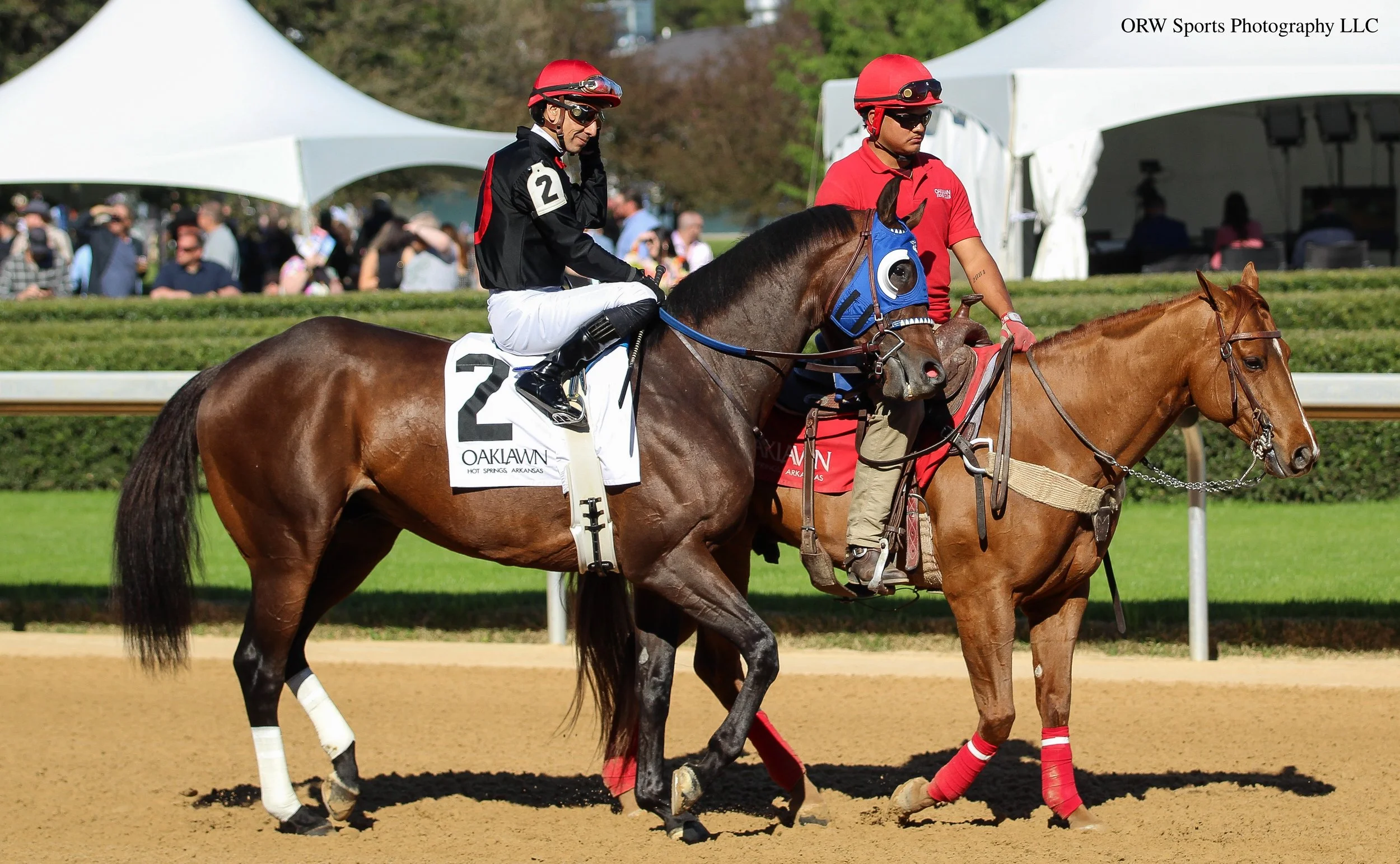 Render Judgment and Emmanuel Esquivel. Like Publisher, he competed in graded stakes races, including the Kentucky Derby. 