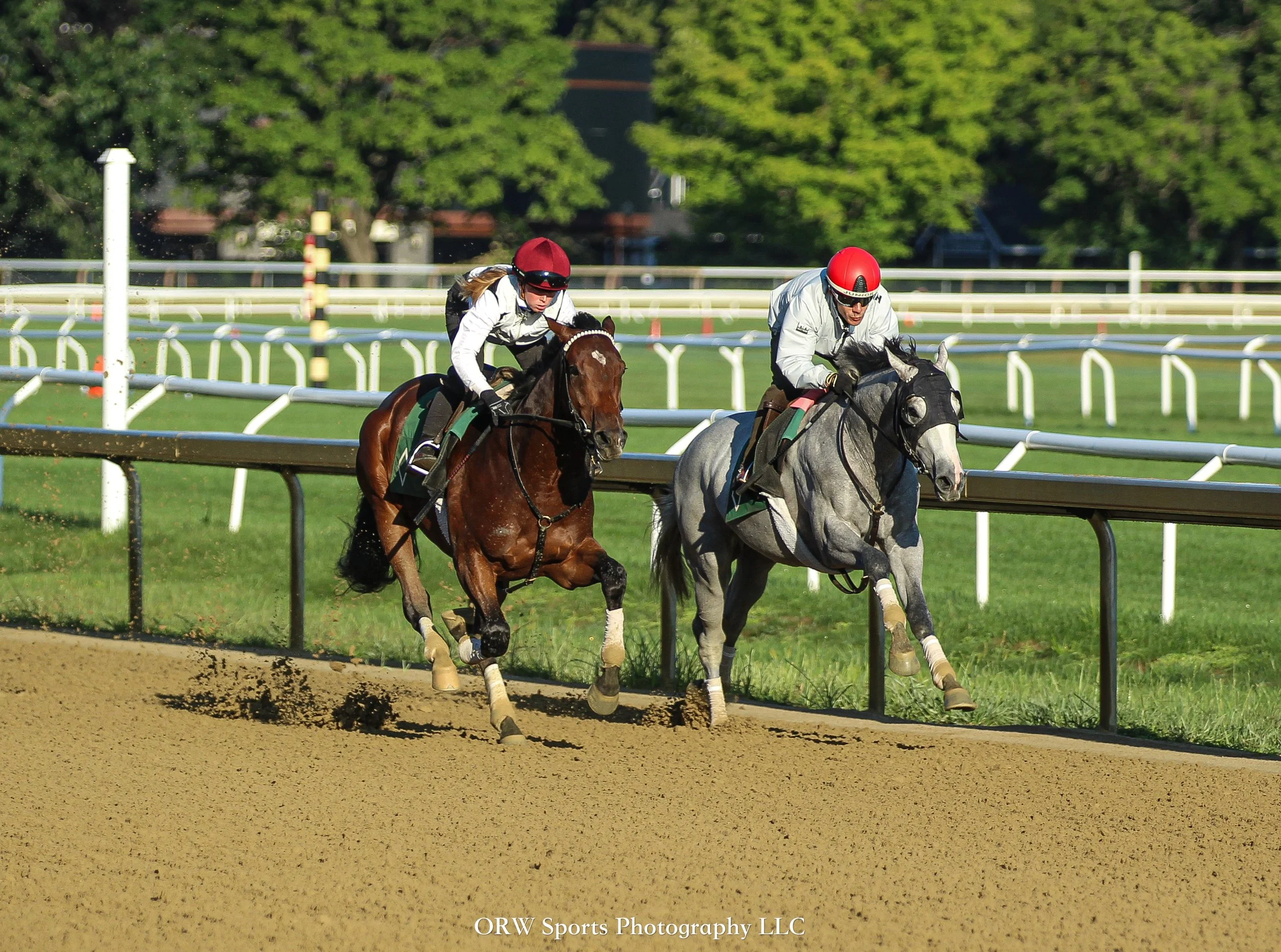 Belzoni and Jackpot Rocket