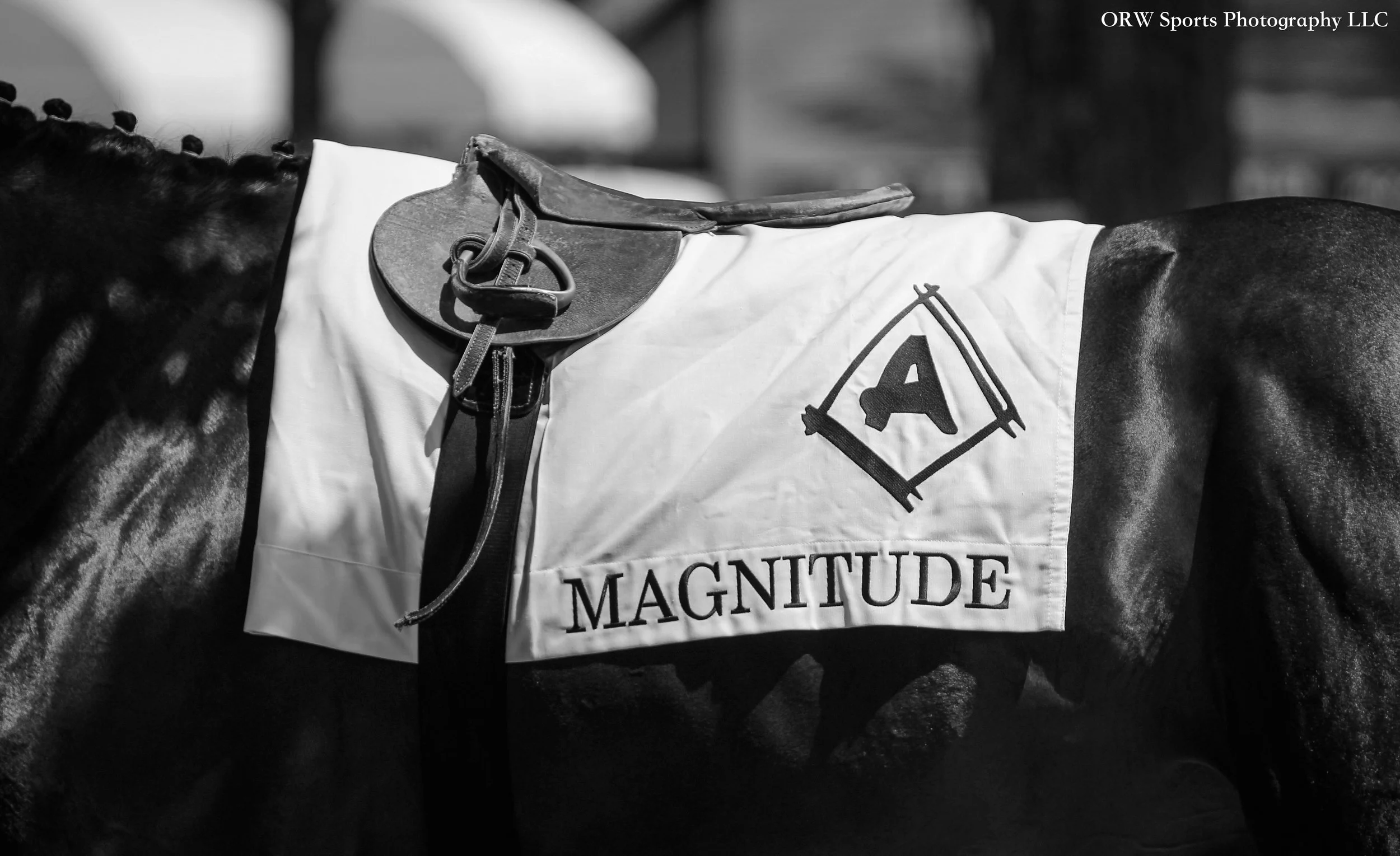 Magnitude Towel (2) .jpg