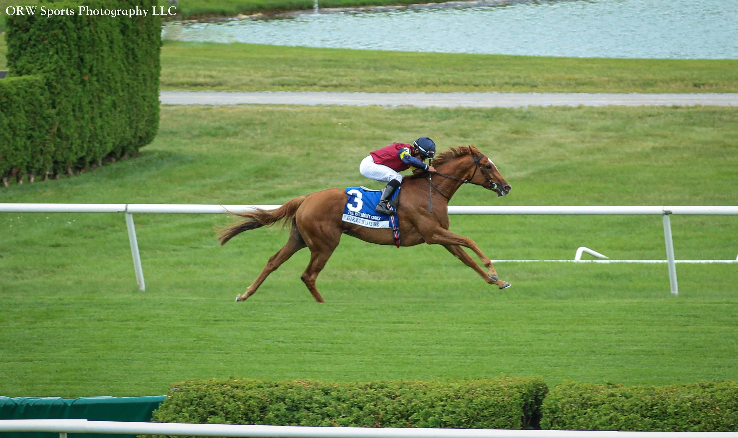 Kensington Lane and Joel Rosario blitz take the Grade 1 Belmont Oaks in convincing fashion. 