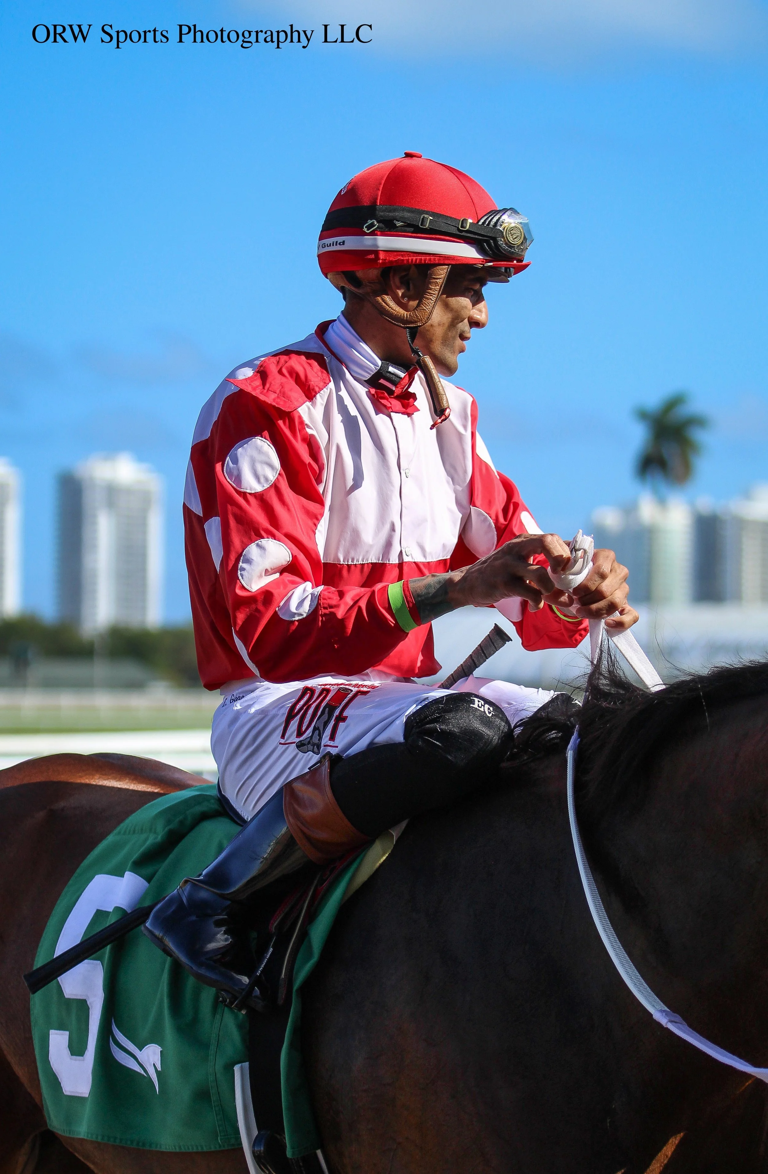 Edwin Gonzalez {Malouf} 