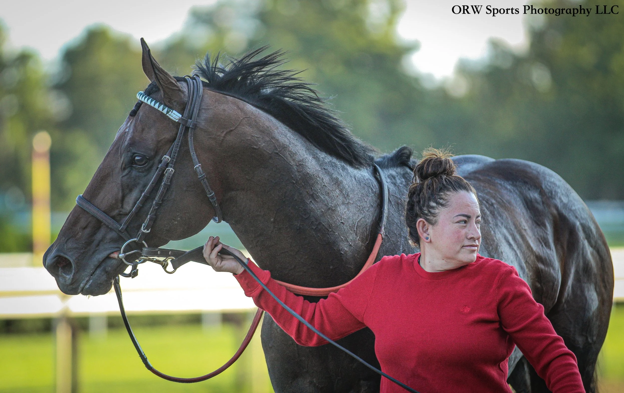 Stars and Strides 