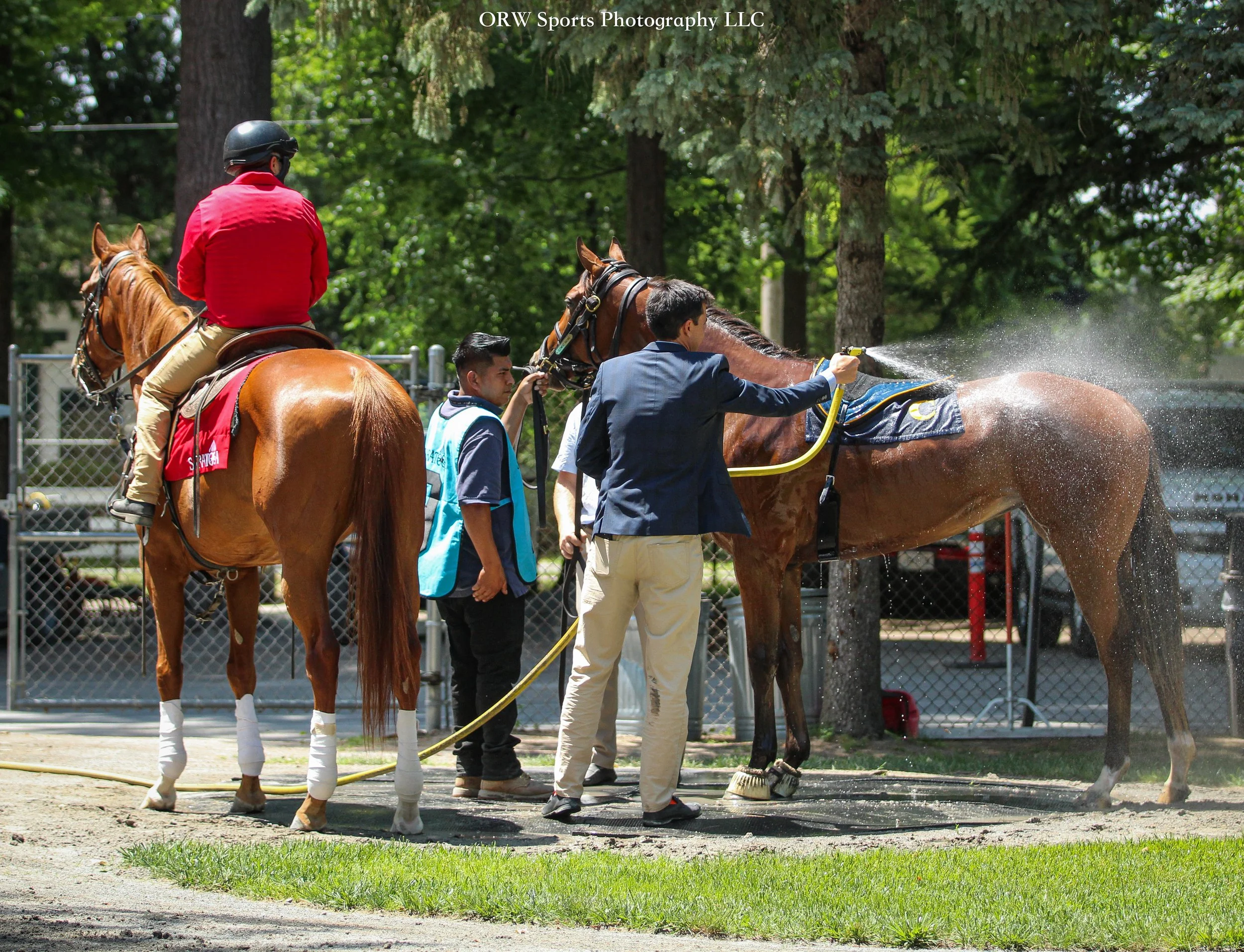 Trainer Miguel Clement sprays Rockabye before her first race. She is the first son or daughter of 2022 Horse of the Year Flightline to run at Saratoga 