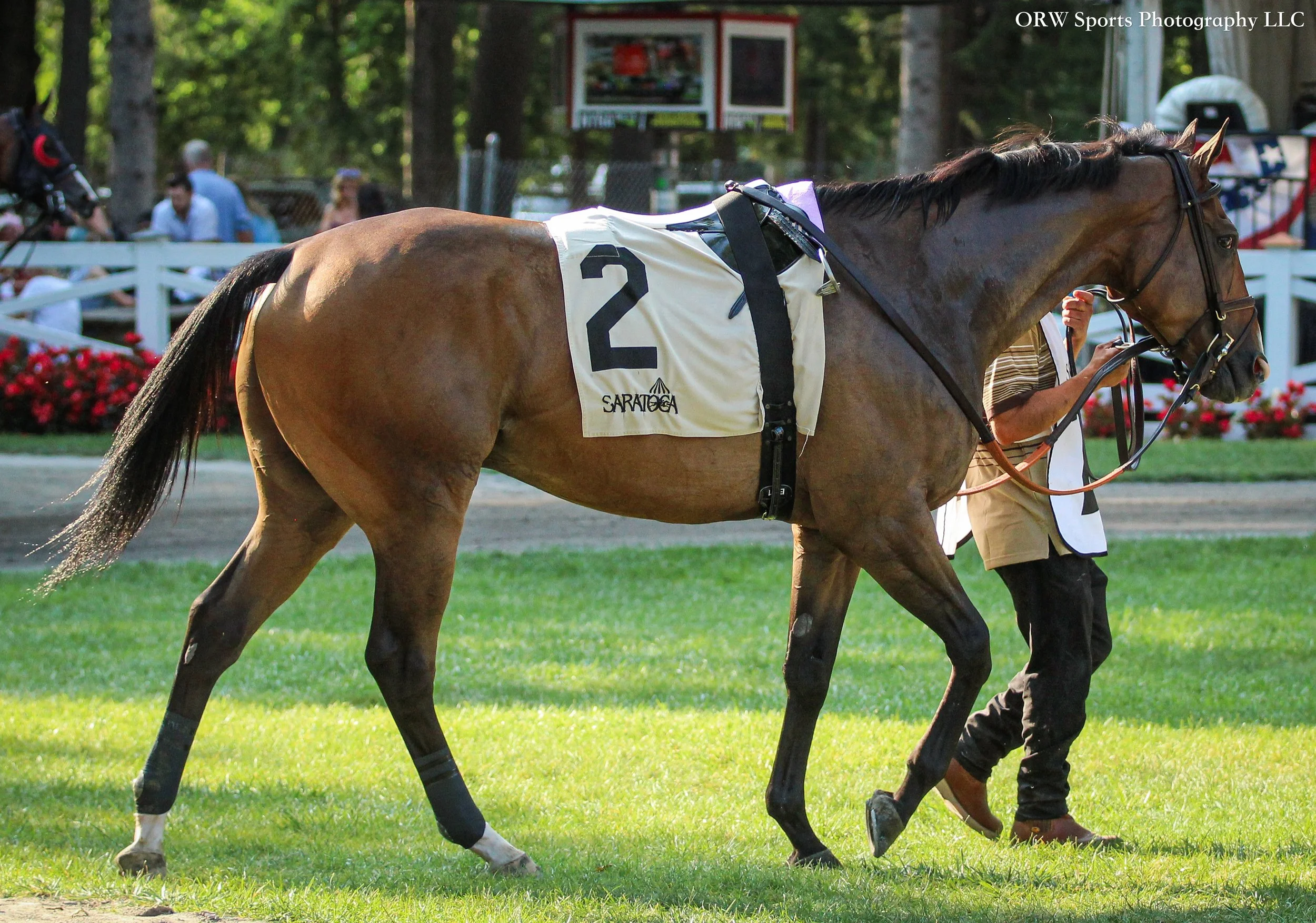 Bring the Smoke 