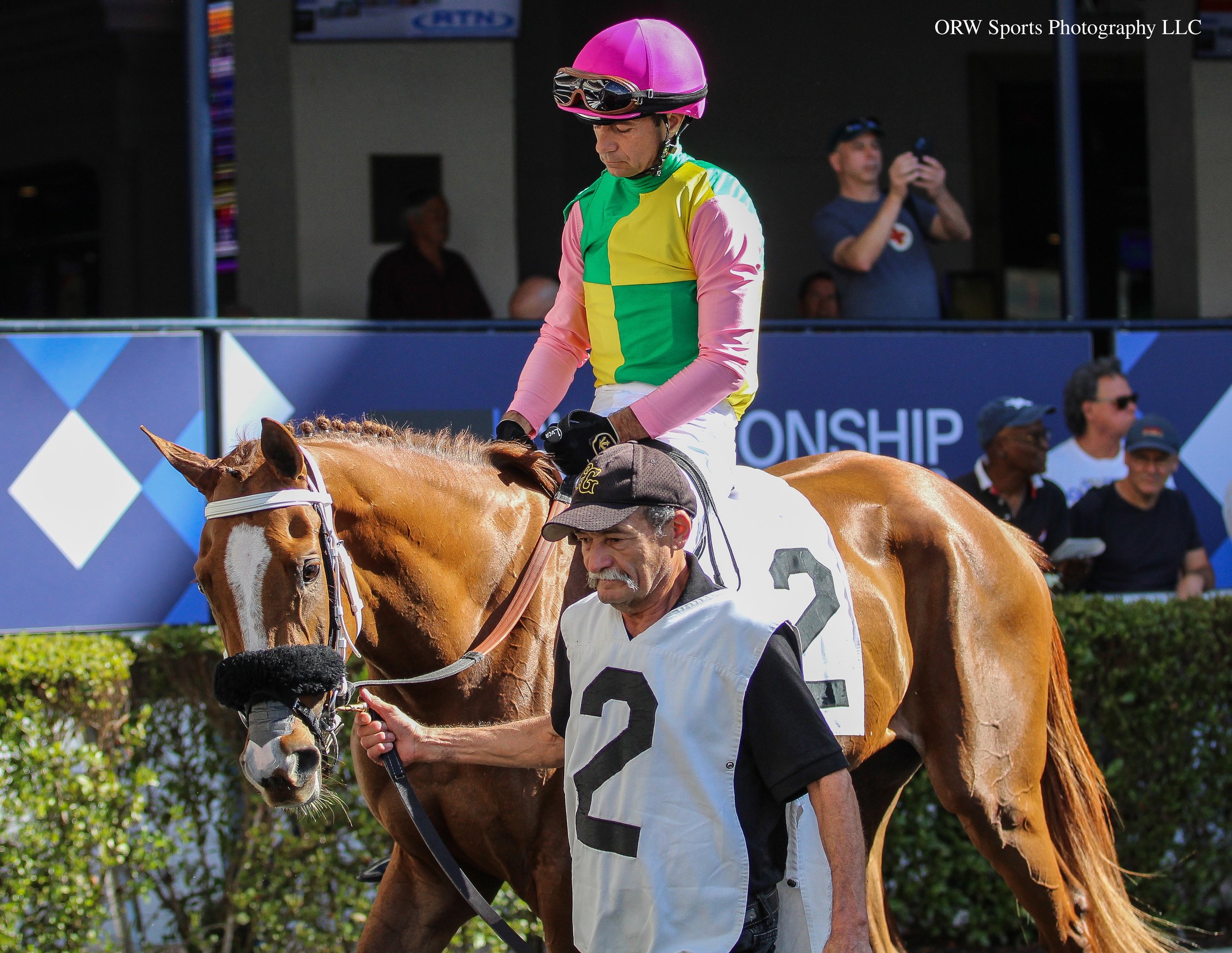 Here Comes Petal and Luca Panici 